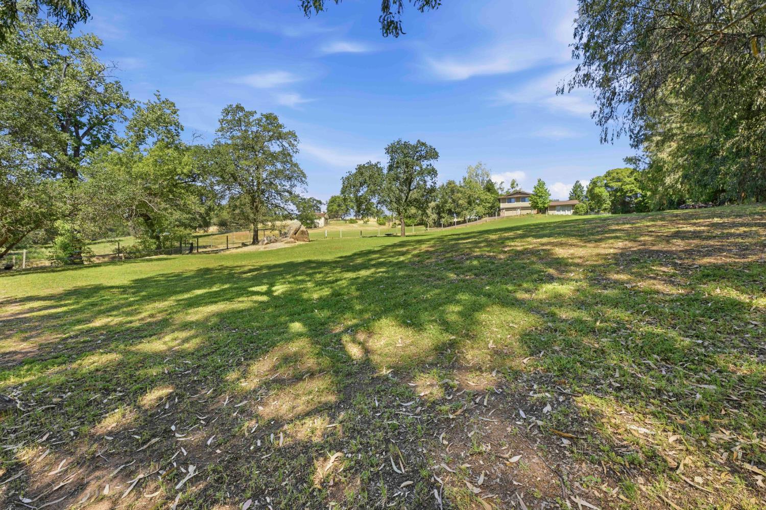 7945 Callison Road Penryn, CA 95663 - Photo 62 of 70 a view of a field with an trees