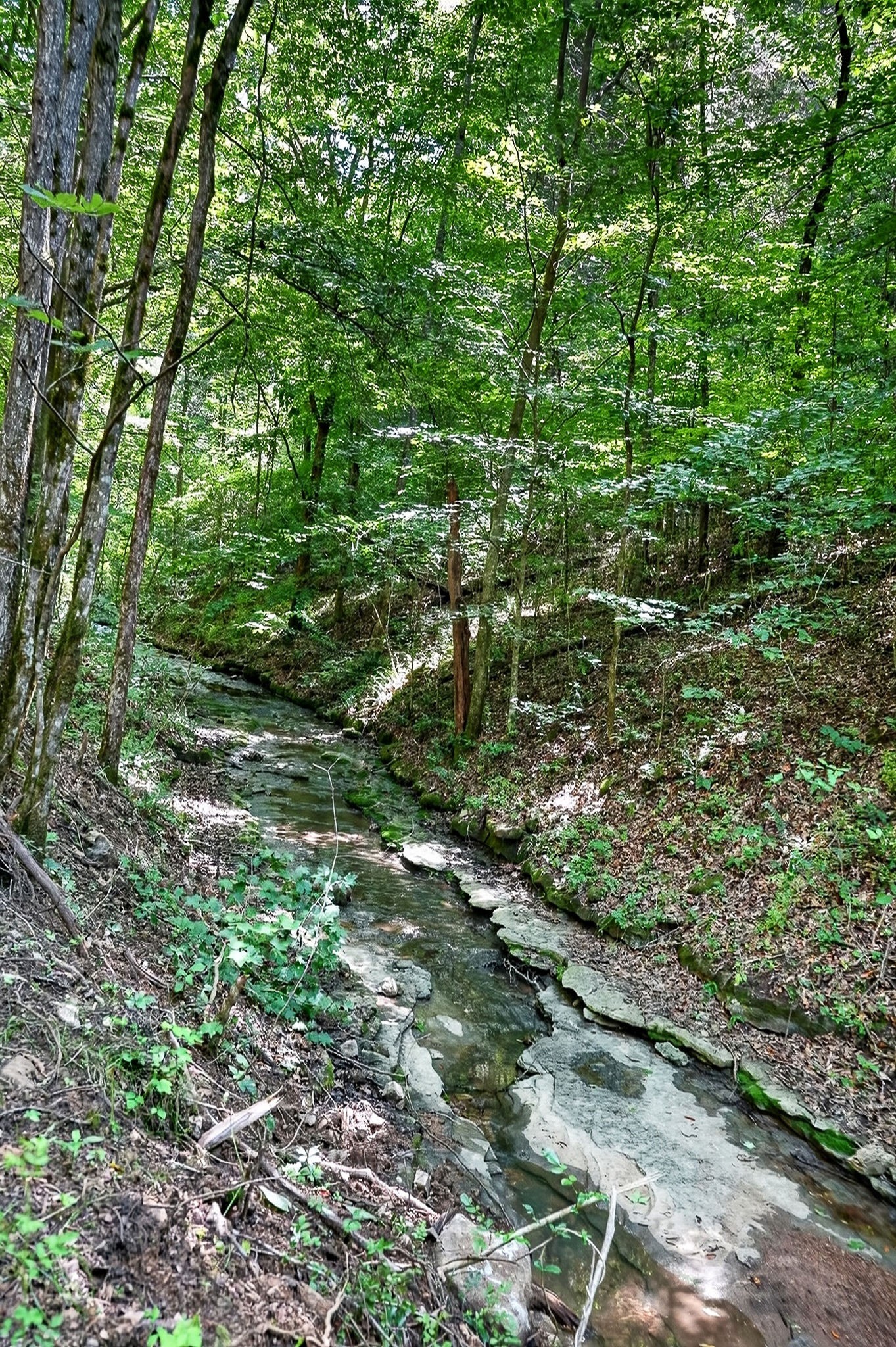 2926 Bryant Ridge Road Baxter, TN 38544 - Photo 22 of 64