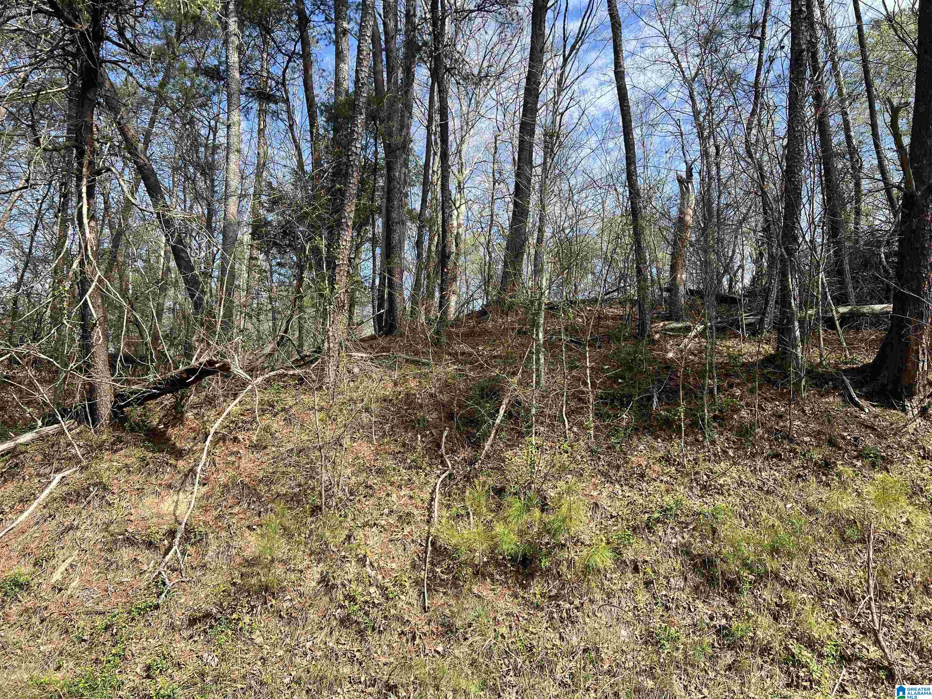 0 Lakeshore Lane, Unit 4 Oneonta, AL 35121 - Photo 39 of 49