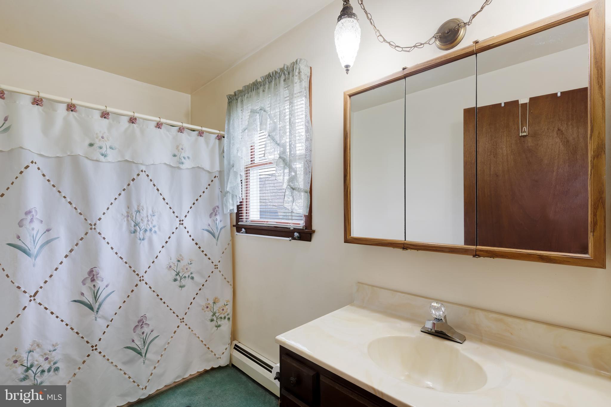 41 Apache Lane Willow Street, PA 17584 - Photo 16 of 26 a bathroom with a sink and a mirror