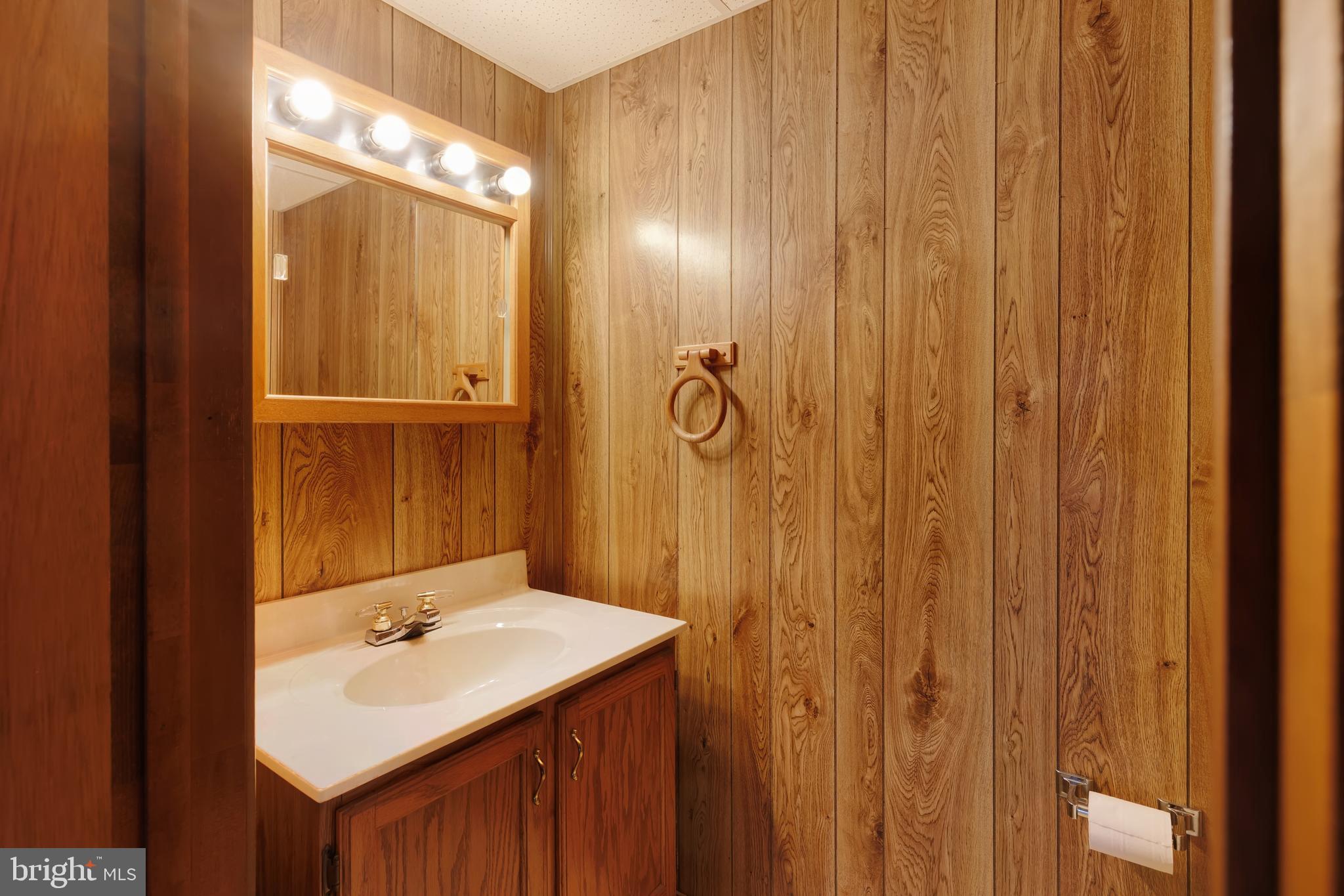 41 Apache Lane Willow Street, PA 17584 - Photo 20 of 26 a bathroom with a sink a mirror and a shower
