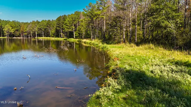 $2,399,000 | Ms-17, Pickens, MS 39146