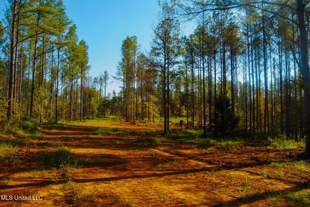 $2,399,000 | Ms-17, Pickens, MS 39146