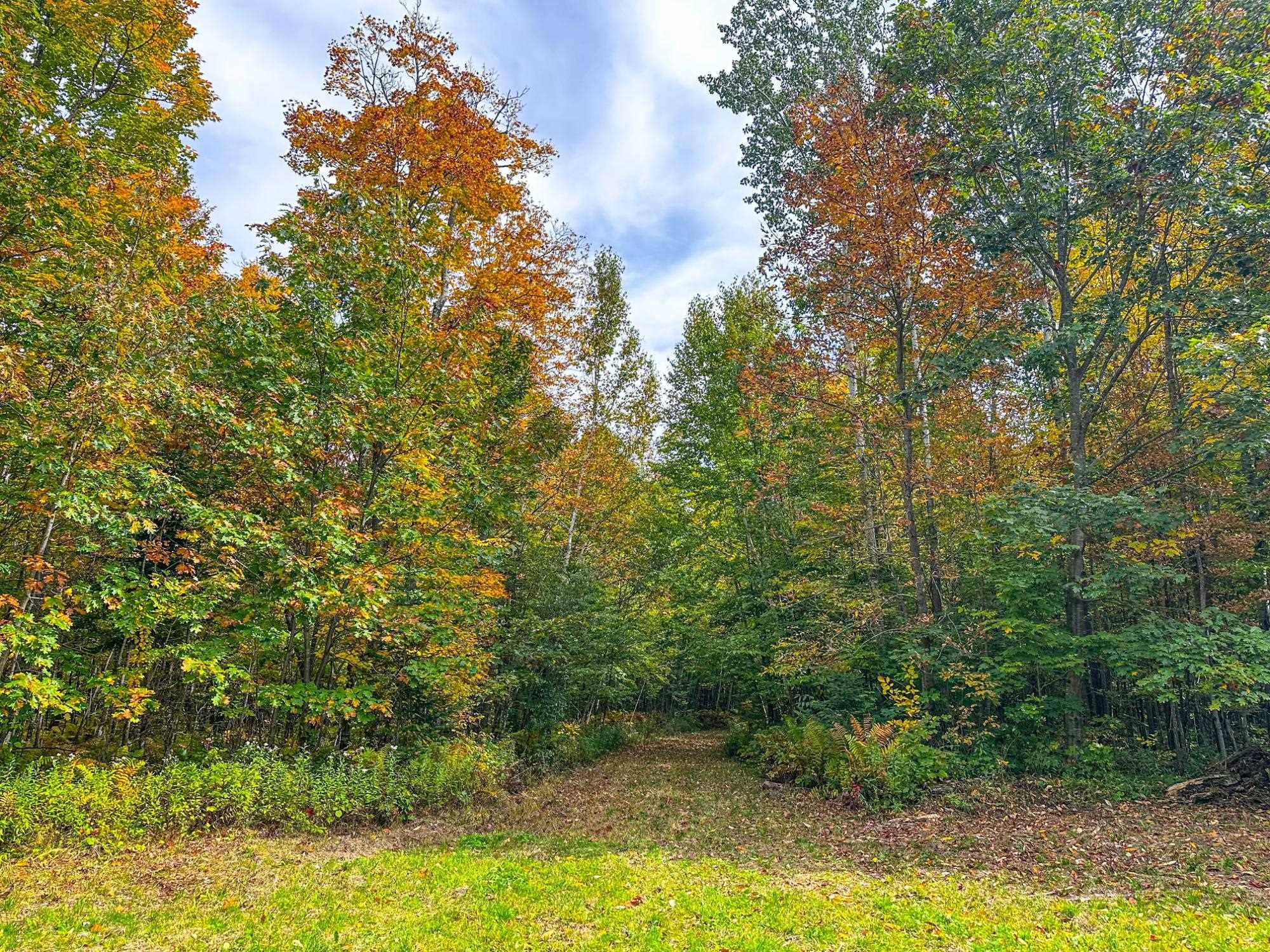 72281 Hennes Road Glidden, WI 54527 - Photo 4 of 50
