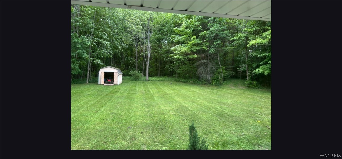 10984 Blanchard Road Colden, NY 14080 - Photo 5 of 32