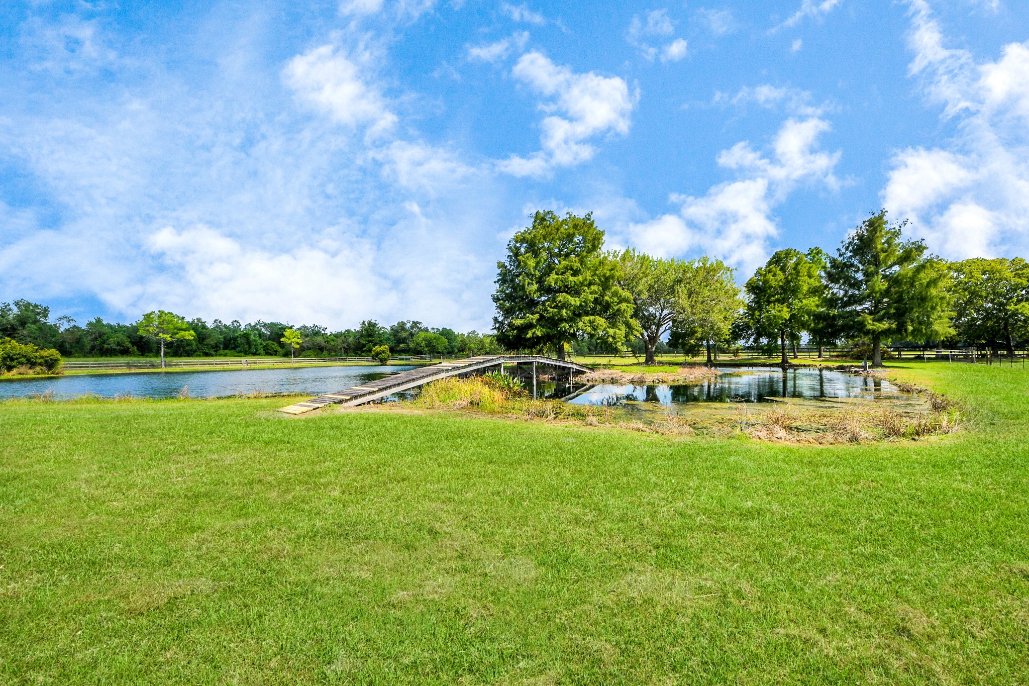 7511 County Road 511 Rosharon, TX 77583 - Photo 7 of 42 Beautifully landscaped