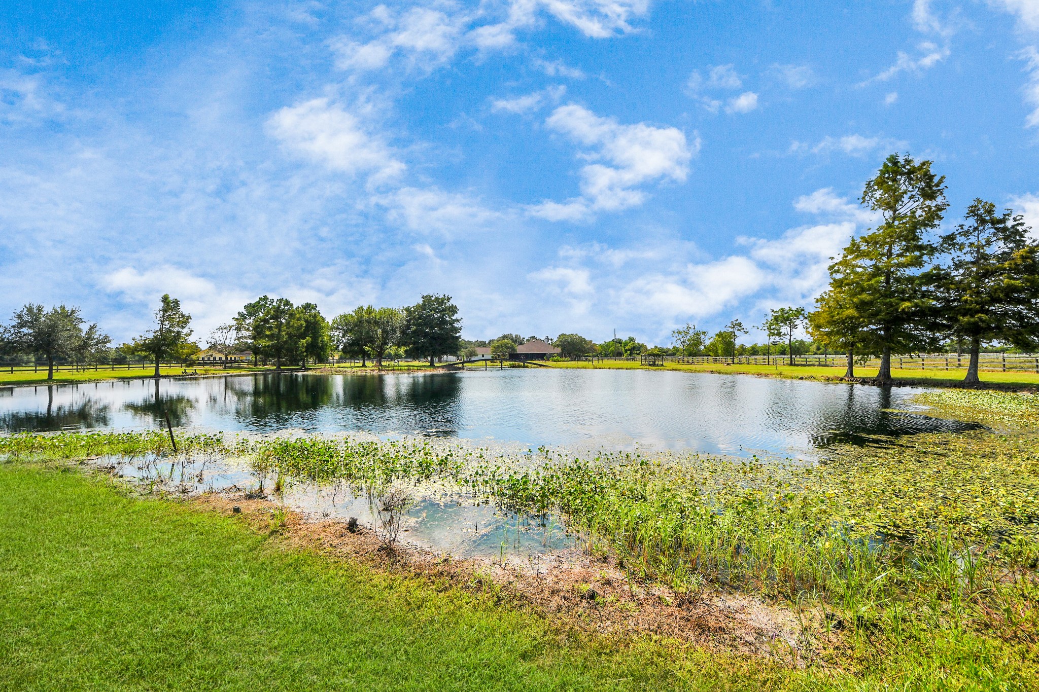 7511 County Road 511 Rosharon, TX 77583 - Photo 9 of 42