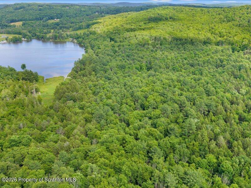 Stanley Lake Road Friendsville, PA 18818 - Photo 5 of 15 06-DJI_20260618042051_0165_D