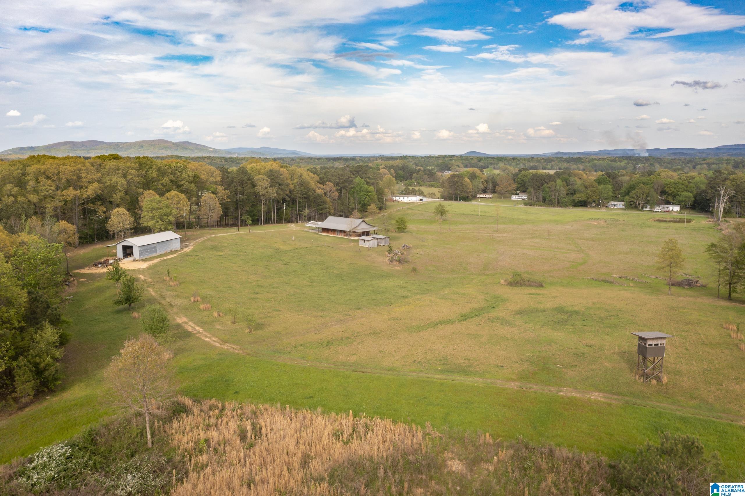 1325 Ledbetter Road Munford, AL 36268 - Photo 65 of 85