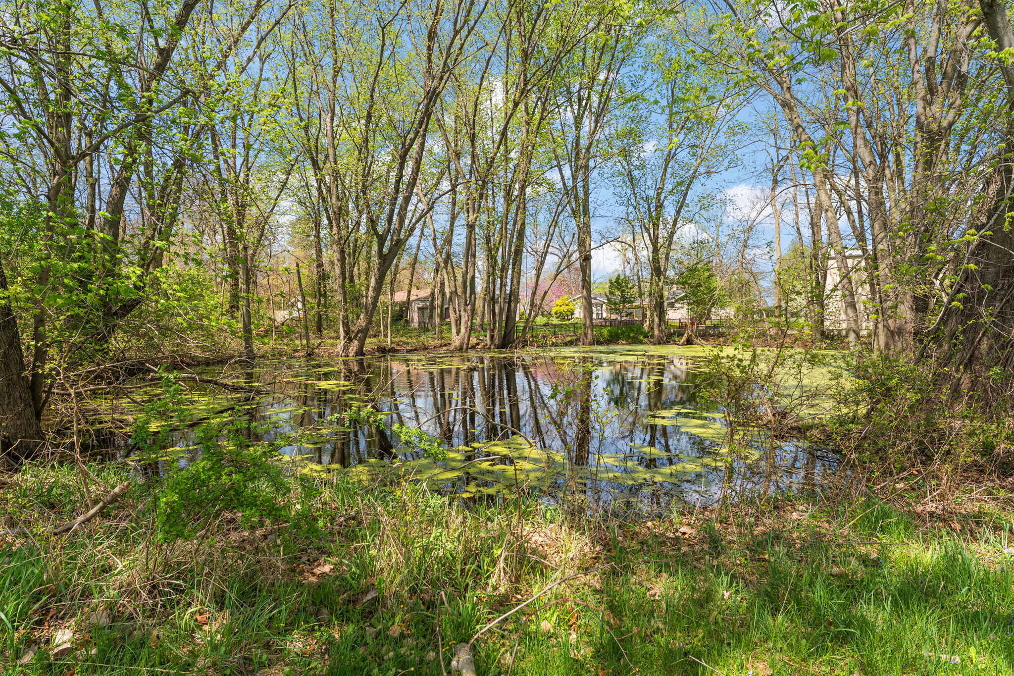 6631 Beach Street Knox, IN 46534 - Photo 41 of 41 a backyard of a house with lots of green space