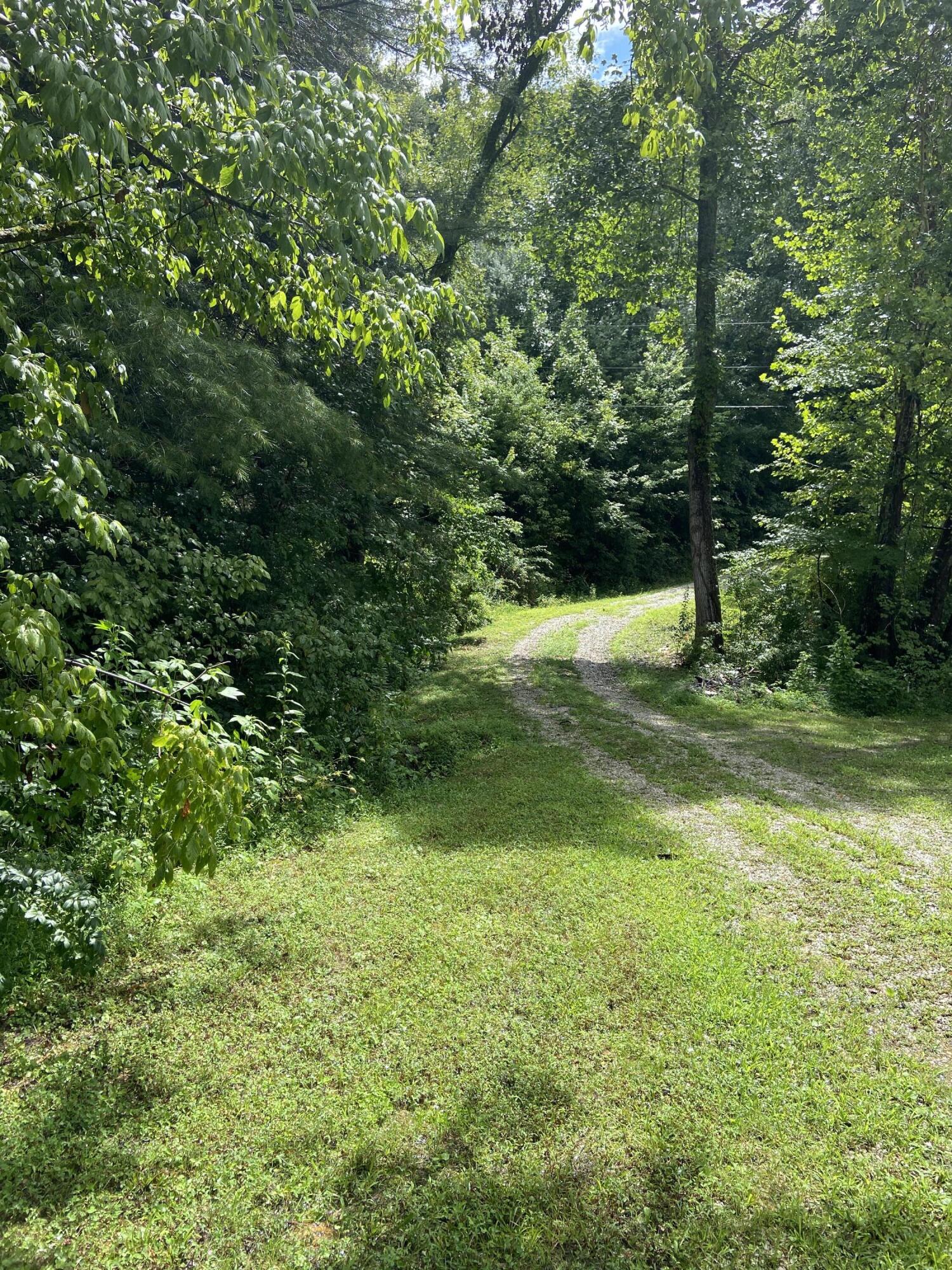 1135 Highway 15 Campton, KY 41301 - Photo 2 of 31 IMG_5910