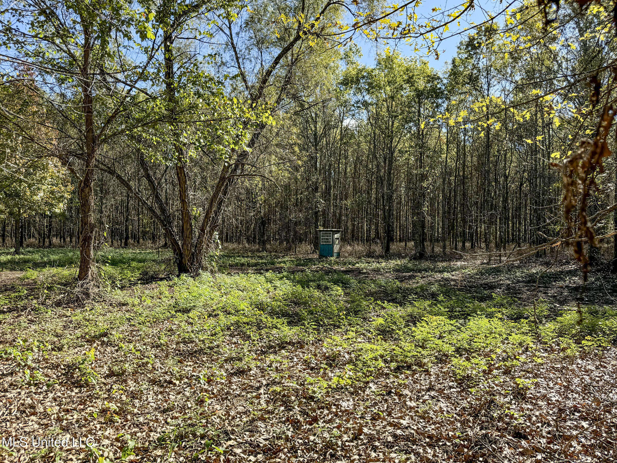 1111 Seven Road Batesville, MS 38606 - Photo 101 of 105 3sulv65