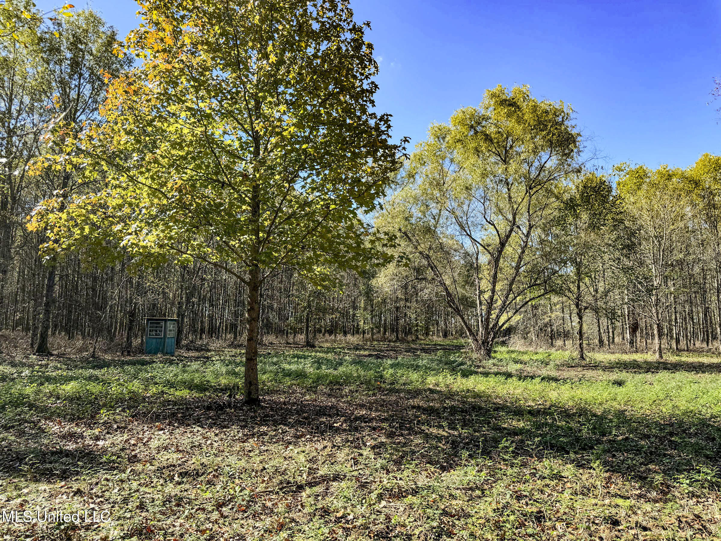1111 Seven Road Batesville, MS 38606 - Photo 102 of 105 3sulv66