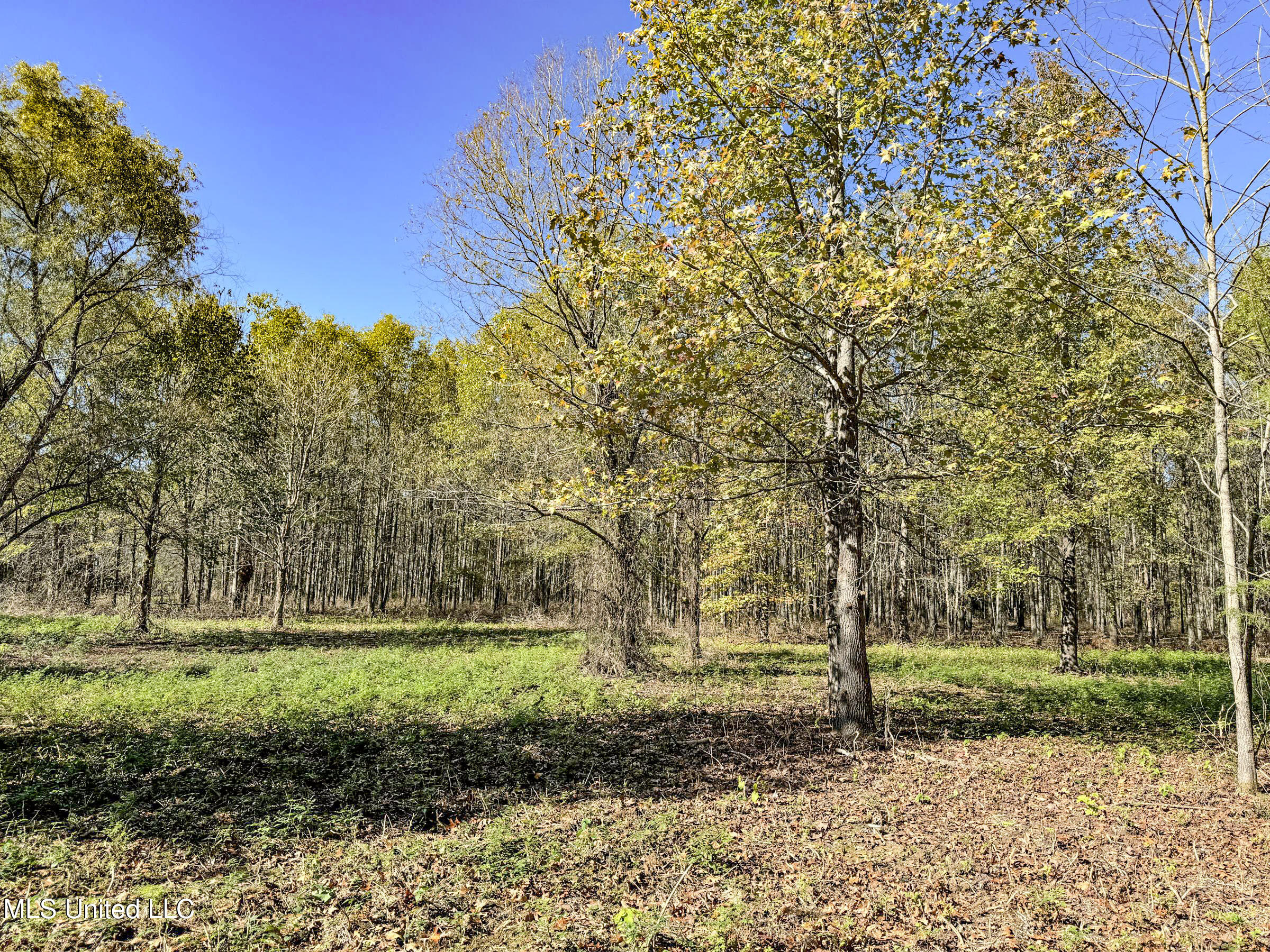 1111 Seven Road Batesville, MS 38606 - Photo 103 of 105 3sulv67