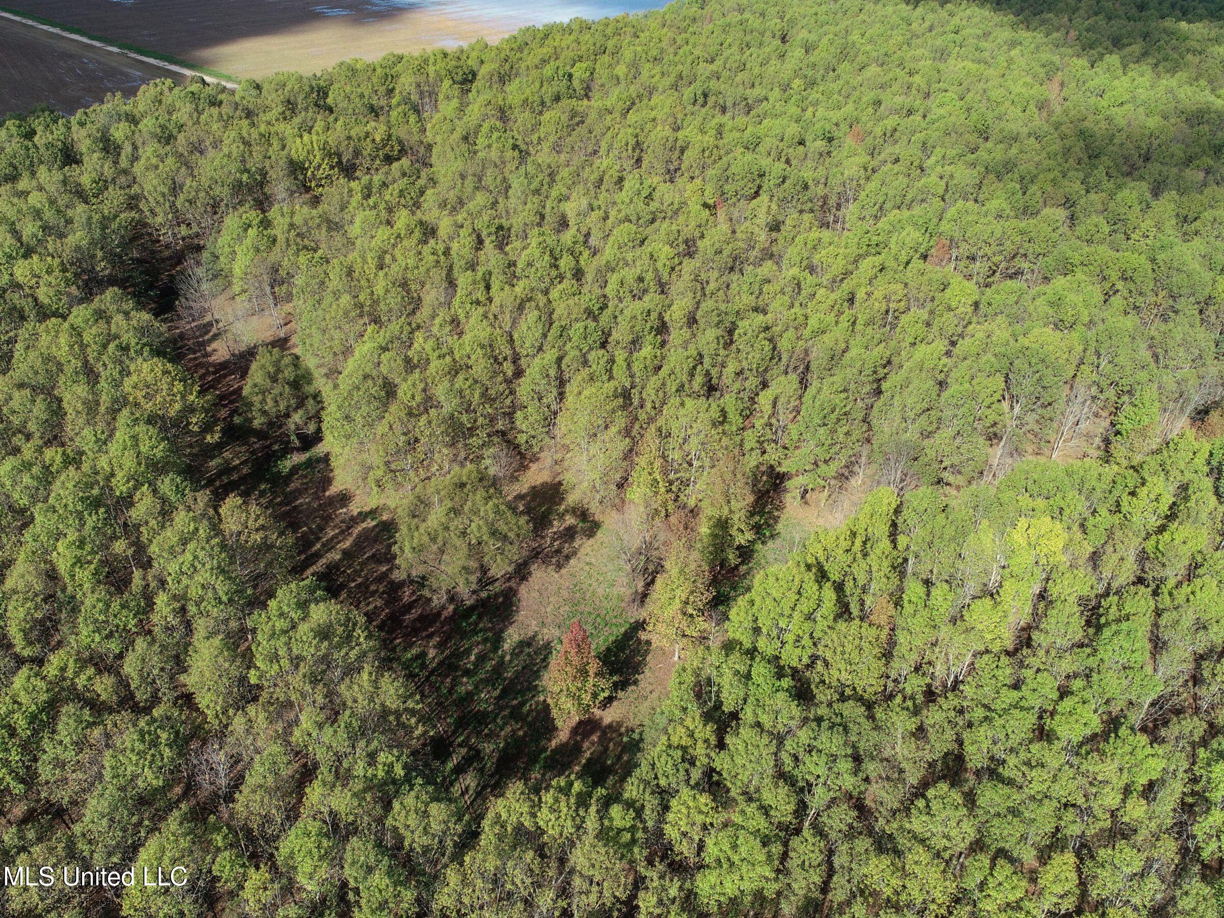1111 Seven Road Batesville, MS 38606 - Photo 12 of 105 2sulv11