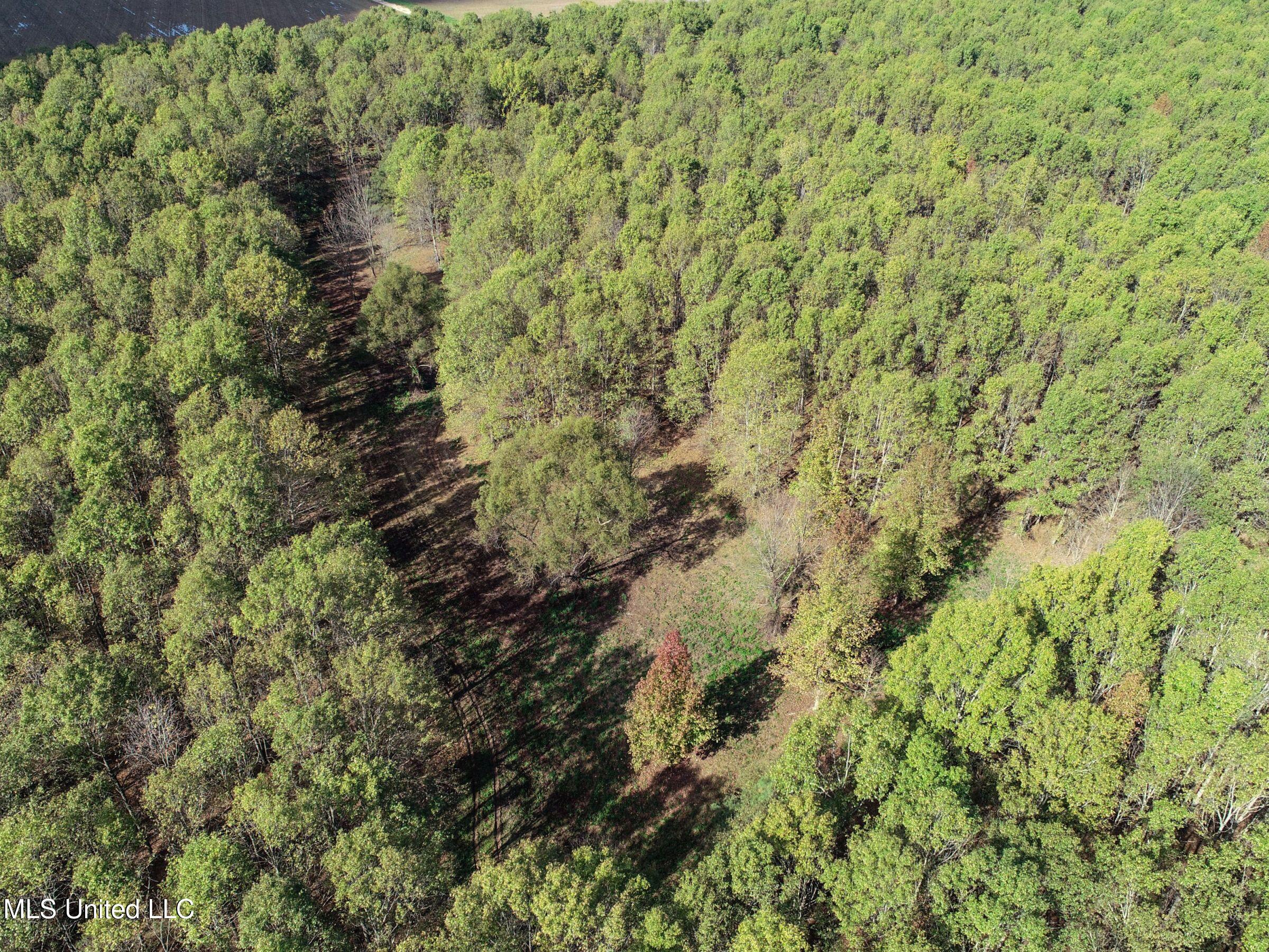 1111 Seven Road Batesville, MS 38606 - Photo 13 of 105 2sulv12