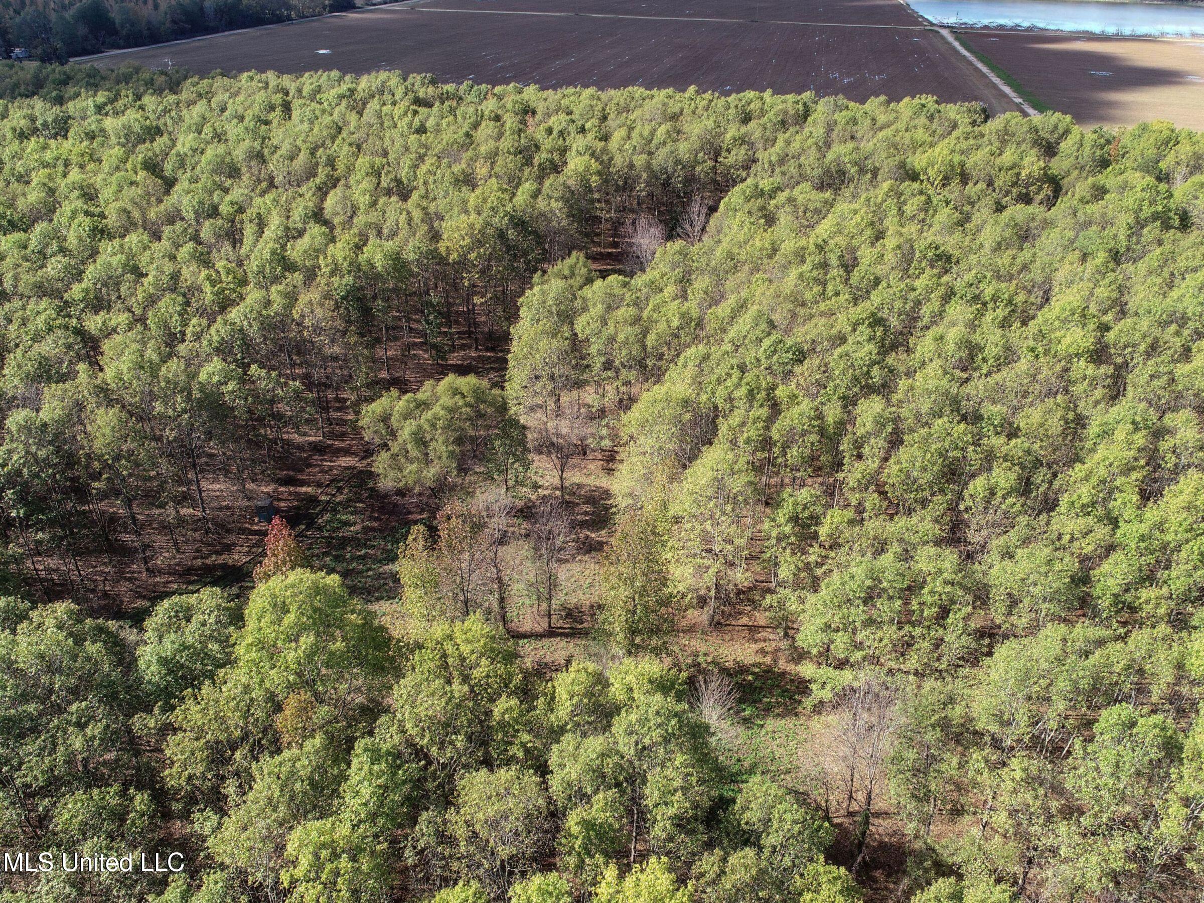 1111 Seven Road Batesville, MS 38606 - Photo 14 of 105 2sulv13