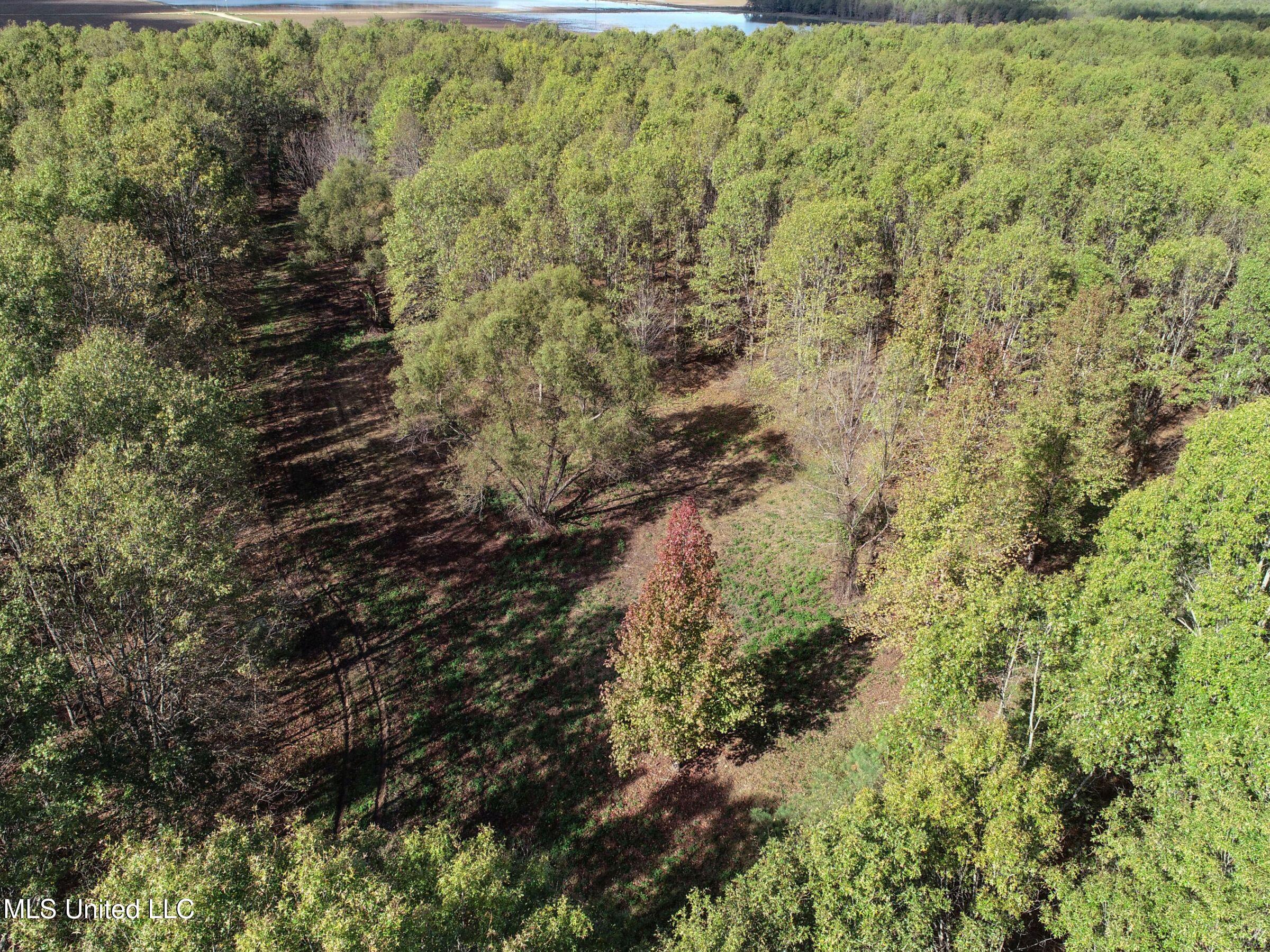 1111 Seven Road Batesville, MS 38606 - Photo 16 of 105 2sulv15