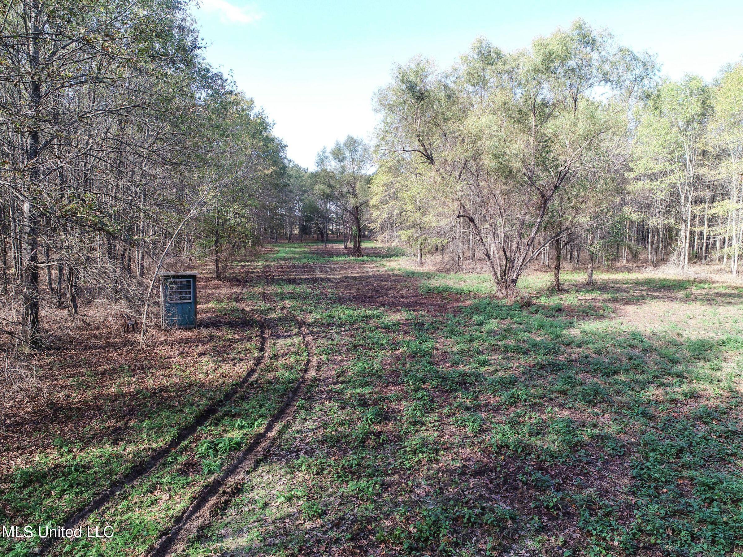 1111 Seven Road Batesville, MS 38606 - Photo 17 of 105 2sulv16