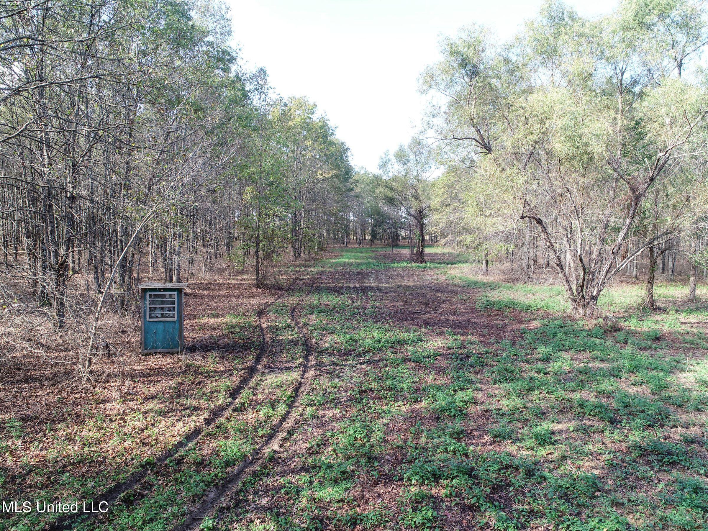 1111 Seven Road Batesville, MS 38606 - Photo 18 of 105 2sulv17