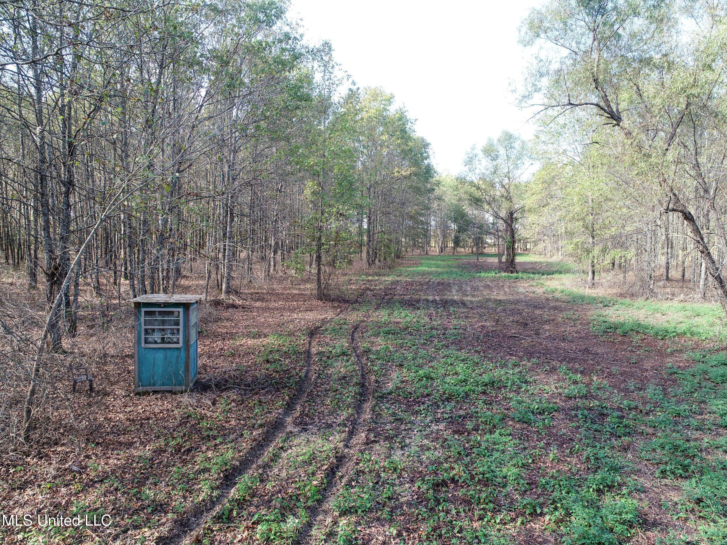 1111 Seven Road Batesville, MS 38606 - Photo 19 of 105 2sulv18
