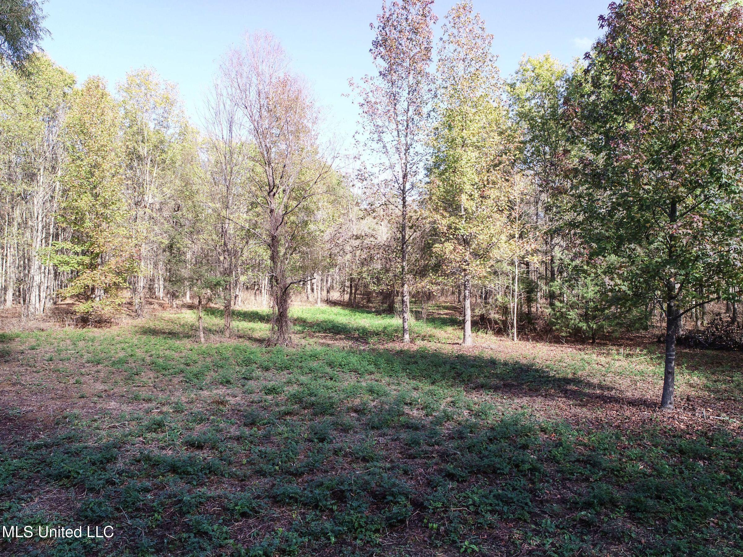 1111 Seven Road Batesville, MS 38606 - Photo 20 of 105 2sulv19
