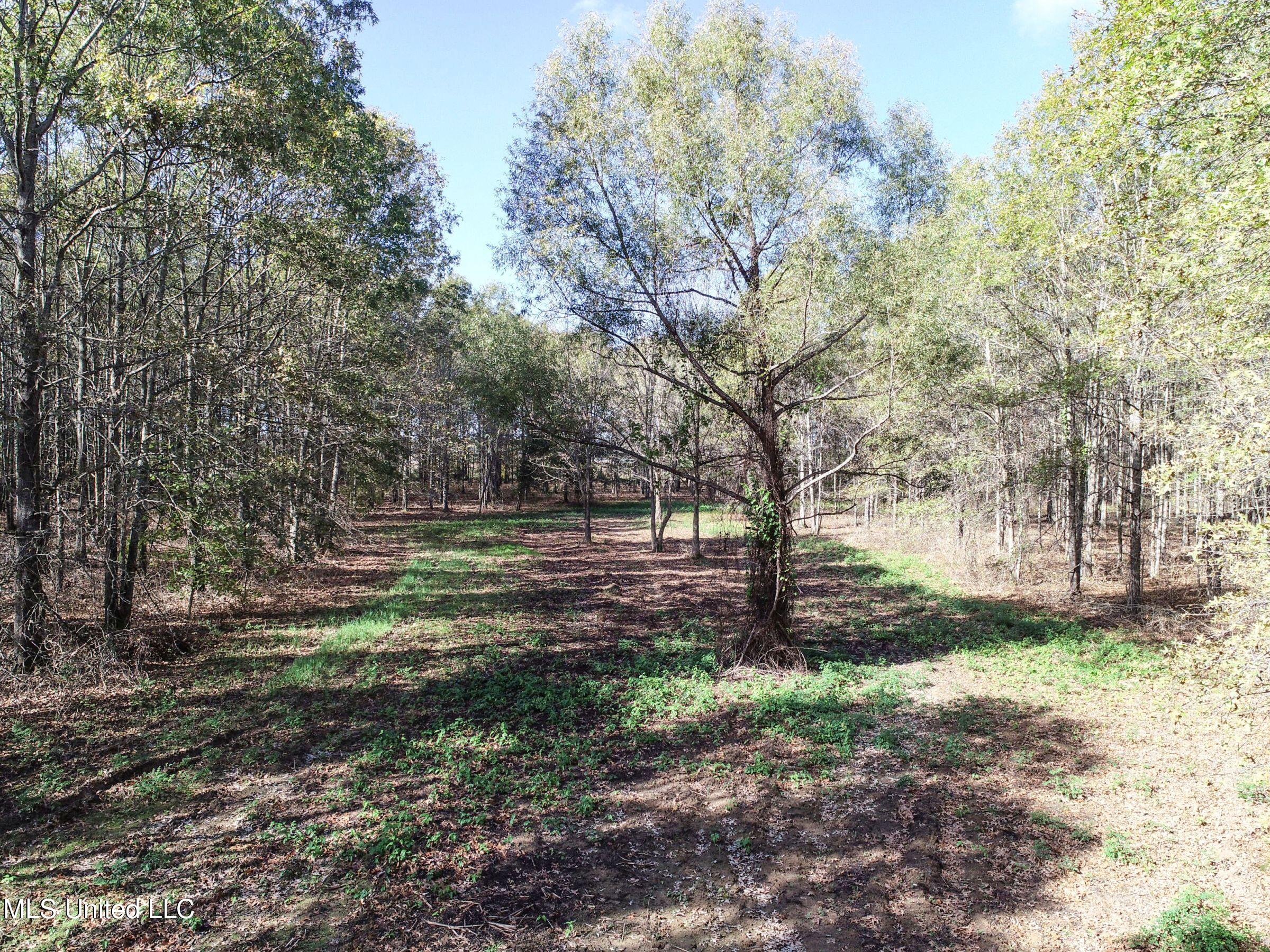 1111 Seven Road Batesville, MS 38606 - Photo 22 of 105 2sulv21