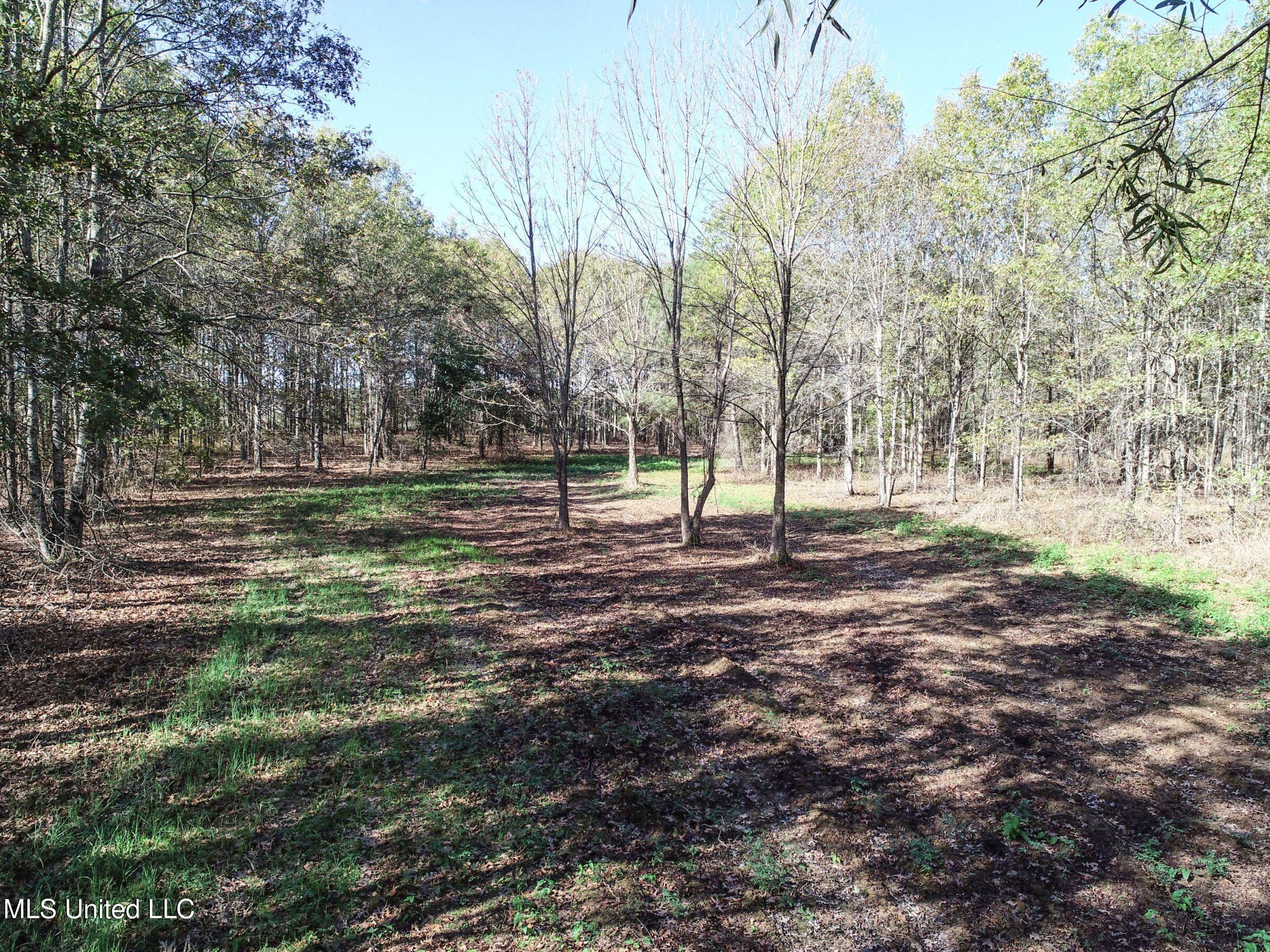 1111 Seven Road Batesville, MS 38606 - Photo 23 of 105 2sulv22