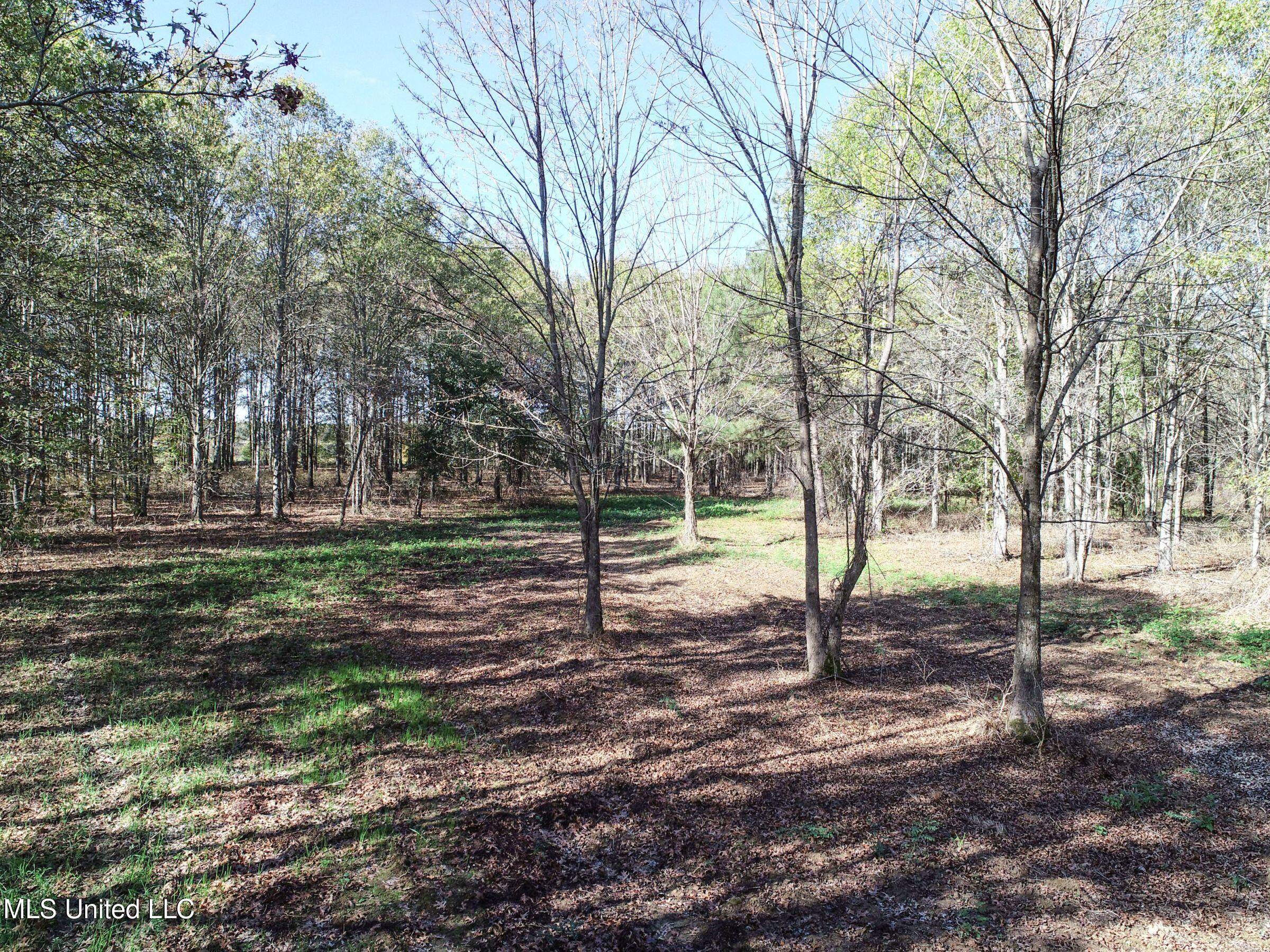 1111 Seven Road Batesville, MS 38606 - Photo 24 of 105 2sulv23