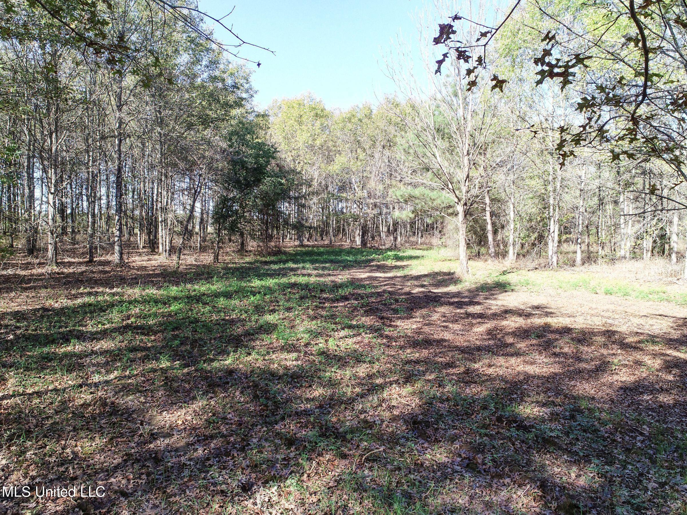 1111 Seven Road Batesville, MS 38606 - Photo 25 of 105 2sulv24