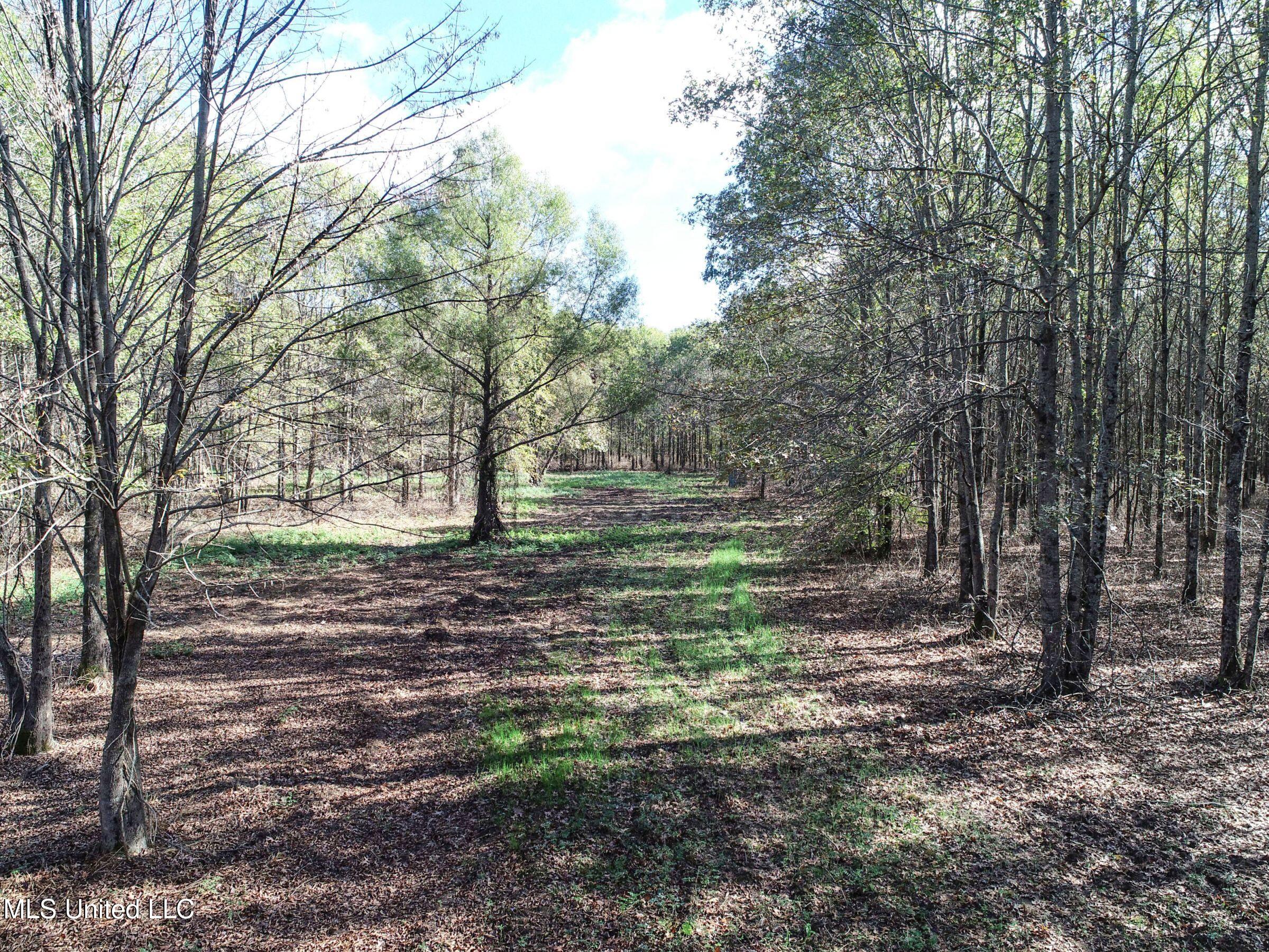 1111 Seven Road Batesville, MS 38606 - Photo 27 of 105 2sulv26