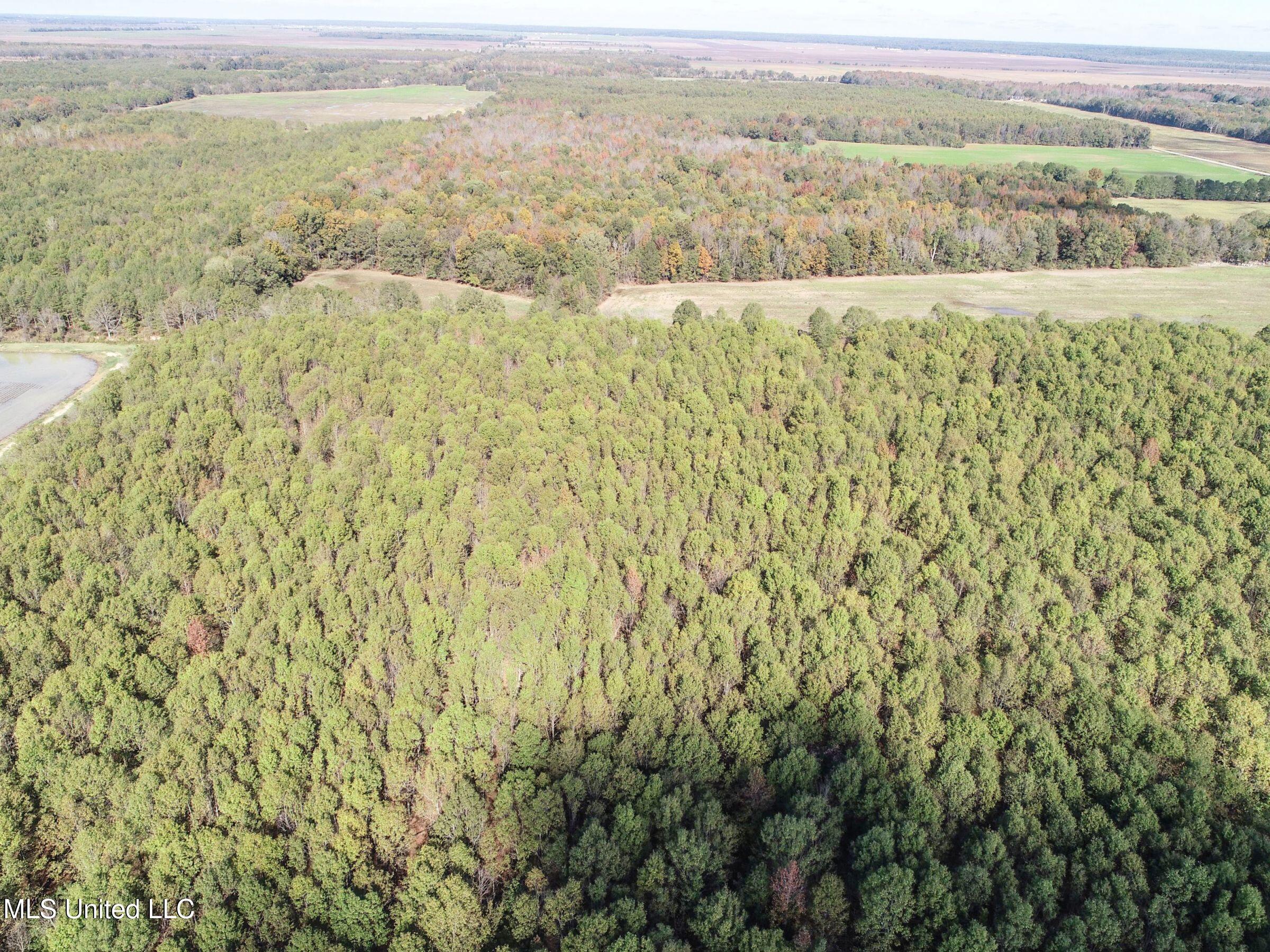 1111 Seven Road Batesville, MS 38606 - Photo 34 of 105 2sulv33