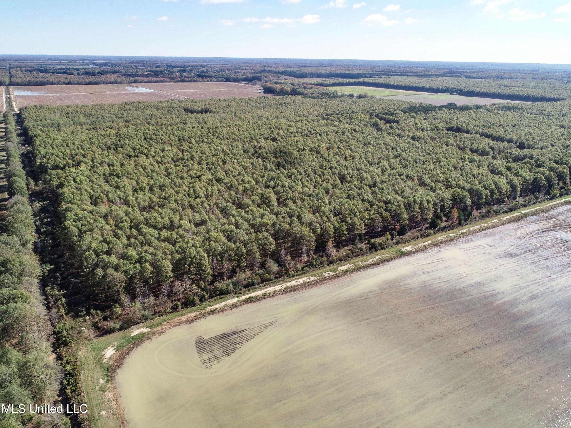 1111 Seven Road Batesville, MS 38606 - Photo 35 of 105 2sulv34