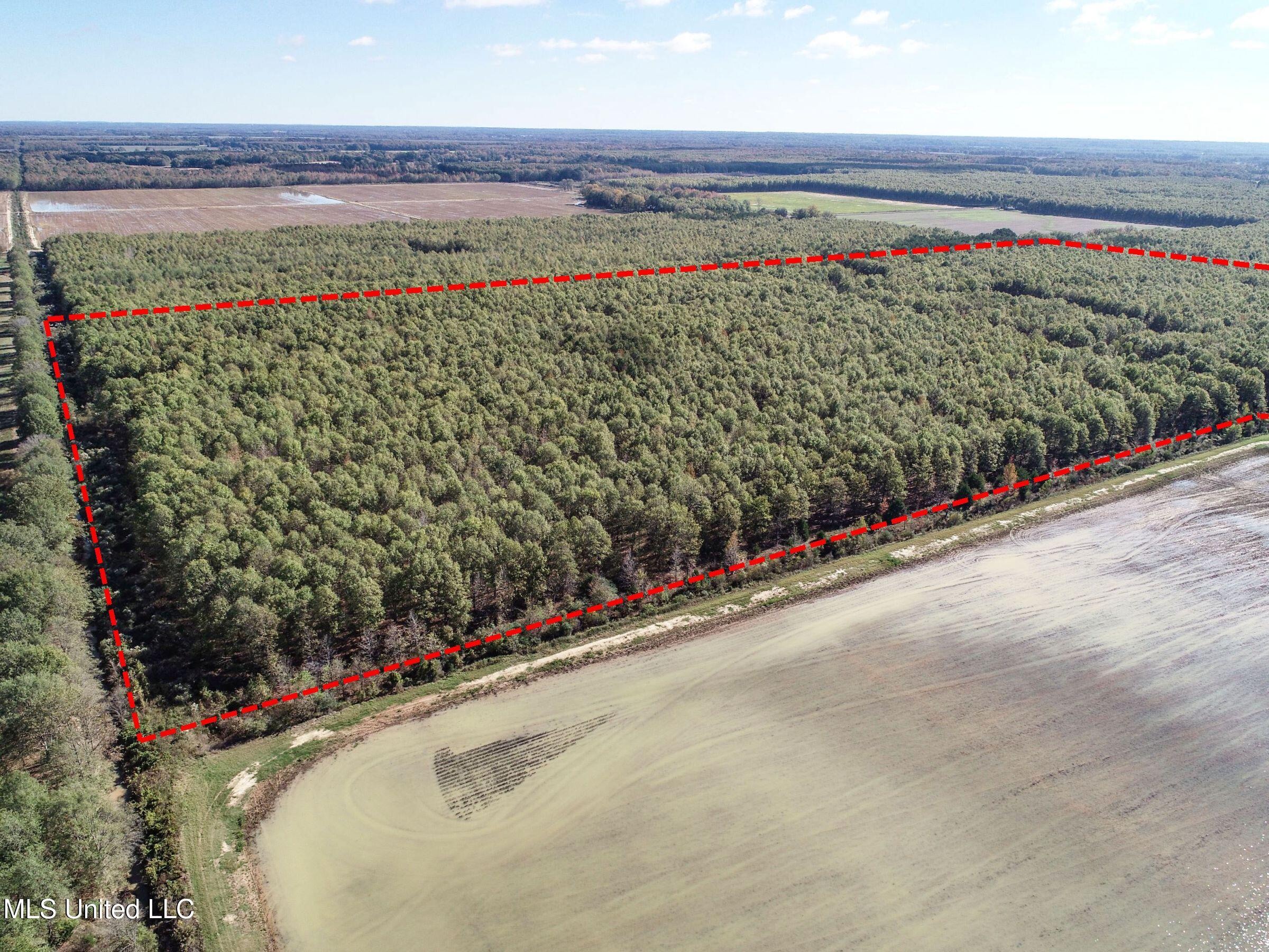 1111 Seven Road Batesville, MS 38606 - Photo 36 of 105 2sulv34b