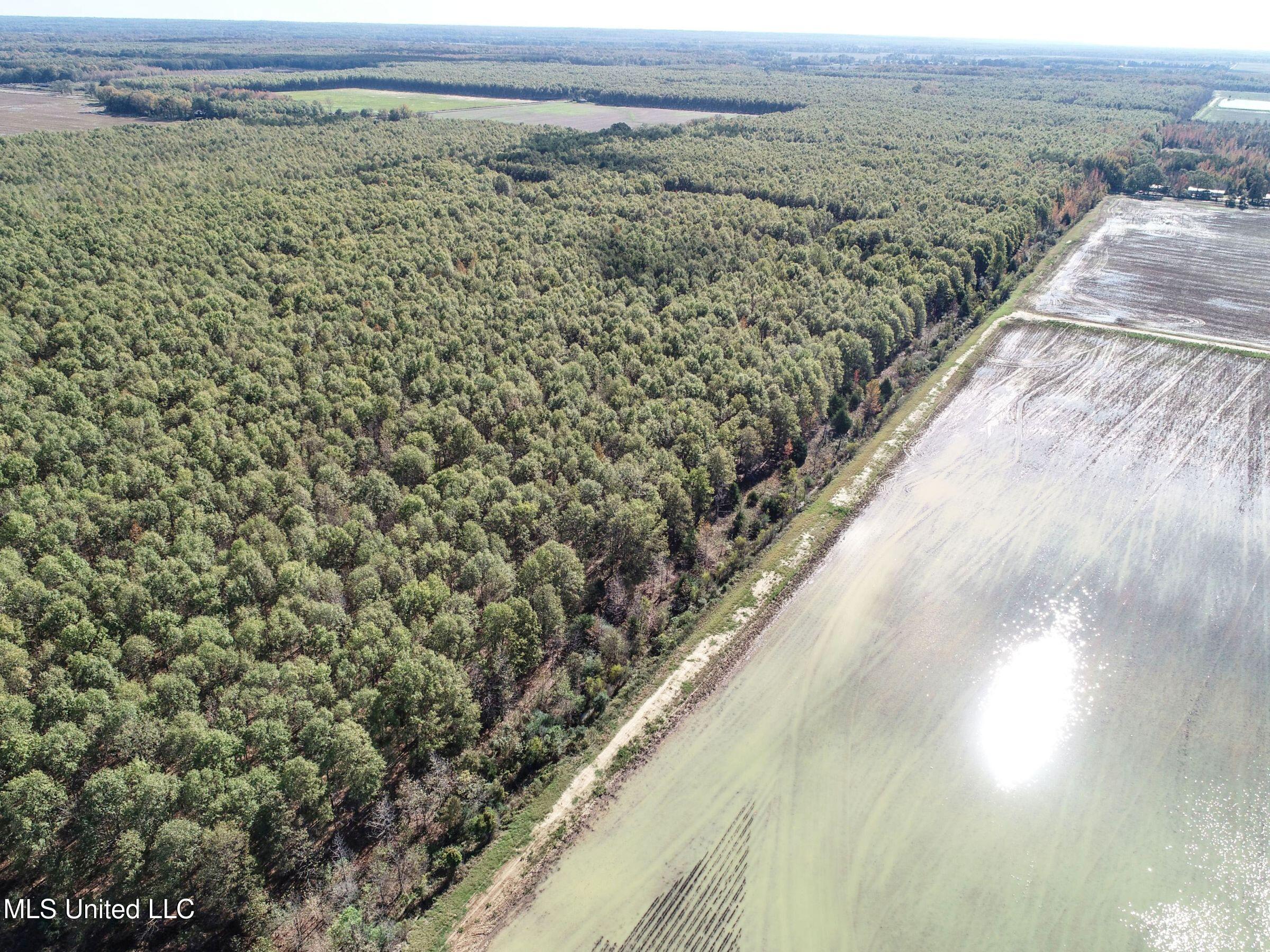 1111 Seven Road Batesville, MS 38606 - Photo 39 of 105 2sulv38
