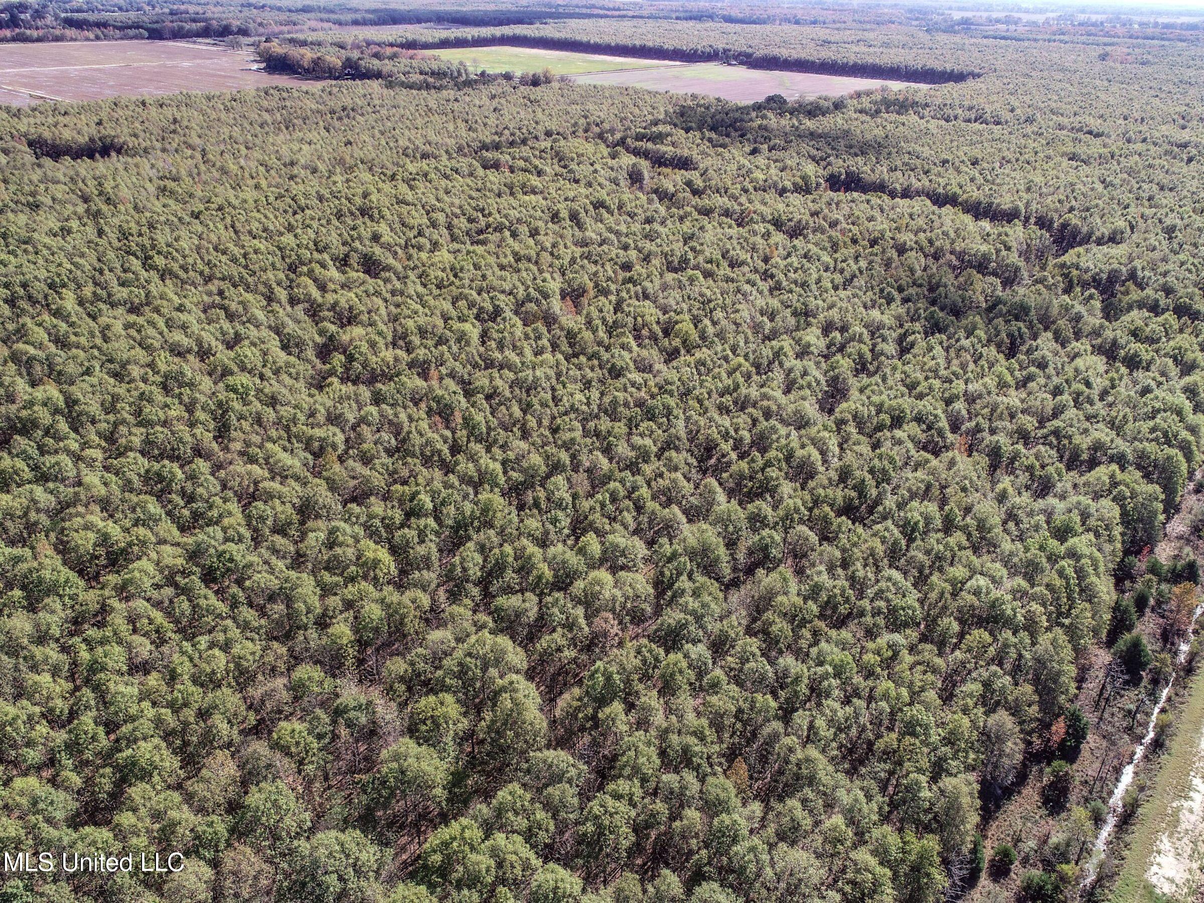 1111 Seven Road Batesville, MS 38606 - Photo 40 of 105 2sulv39