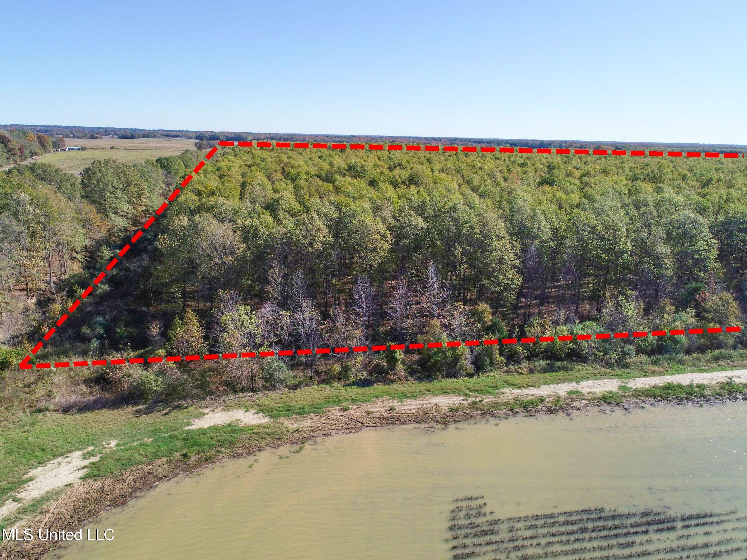 1111 Seven Road Batesville, MS 38606 - Photo 43 of 105 3asulv1b