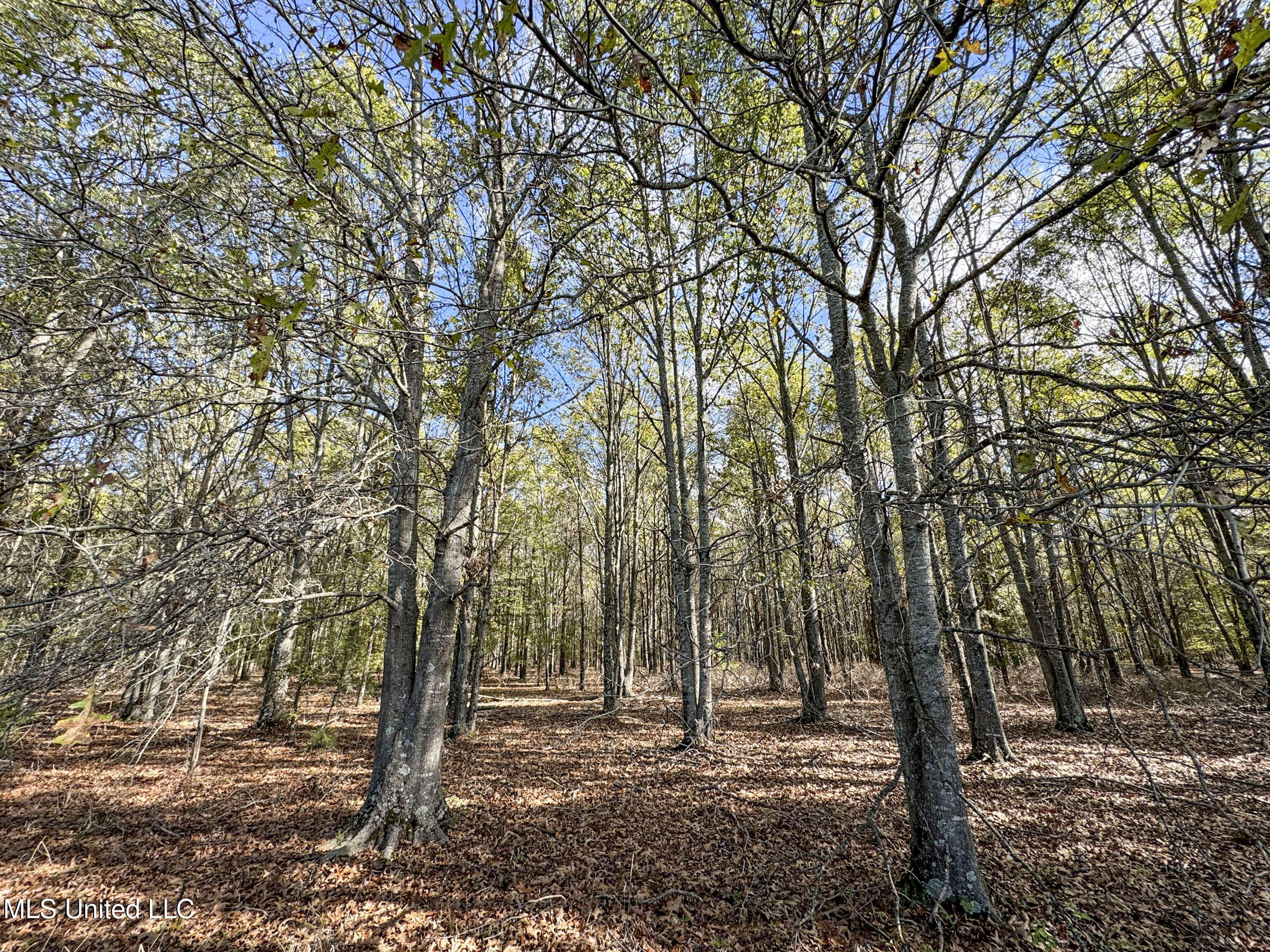 1111 Seven Road Batesville, MS 38606 - Photo 47 of 105 3sulv3