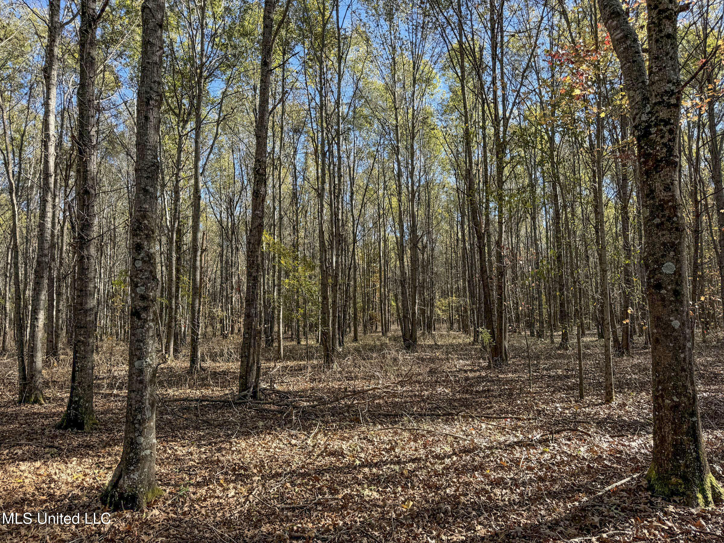 1111 Seven Road Batesville, MS 38606 - Photo 50 of 105 3sulv9b