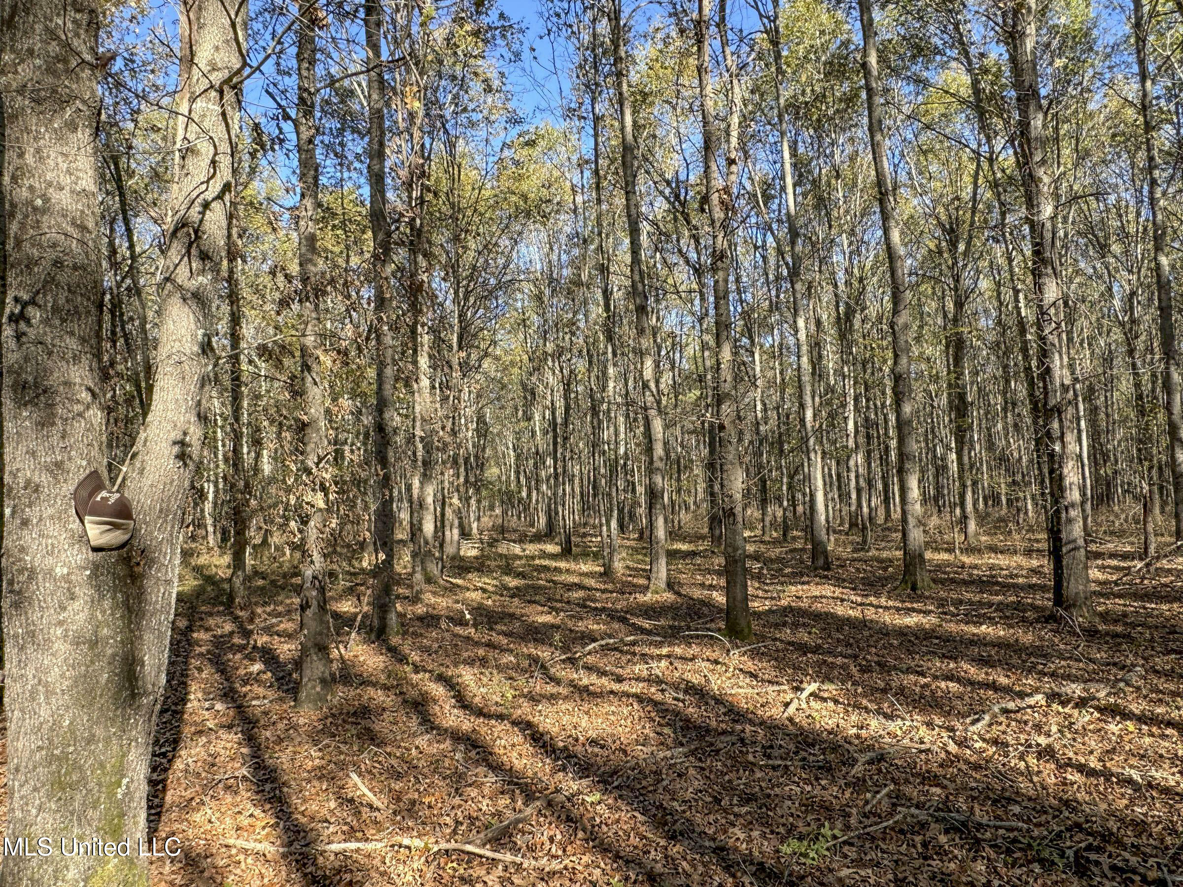 1111 Seven Road Batesville, MS 38606 - Photo 53 of 105 3sulv9e