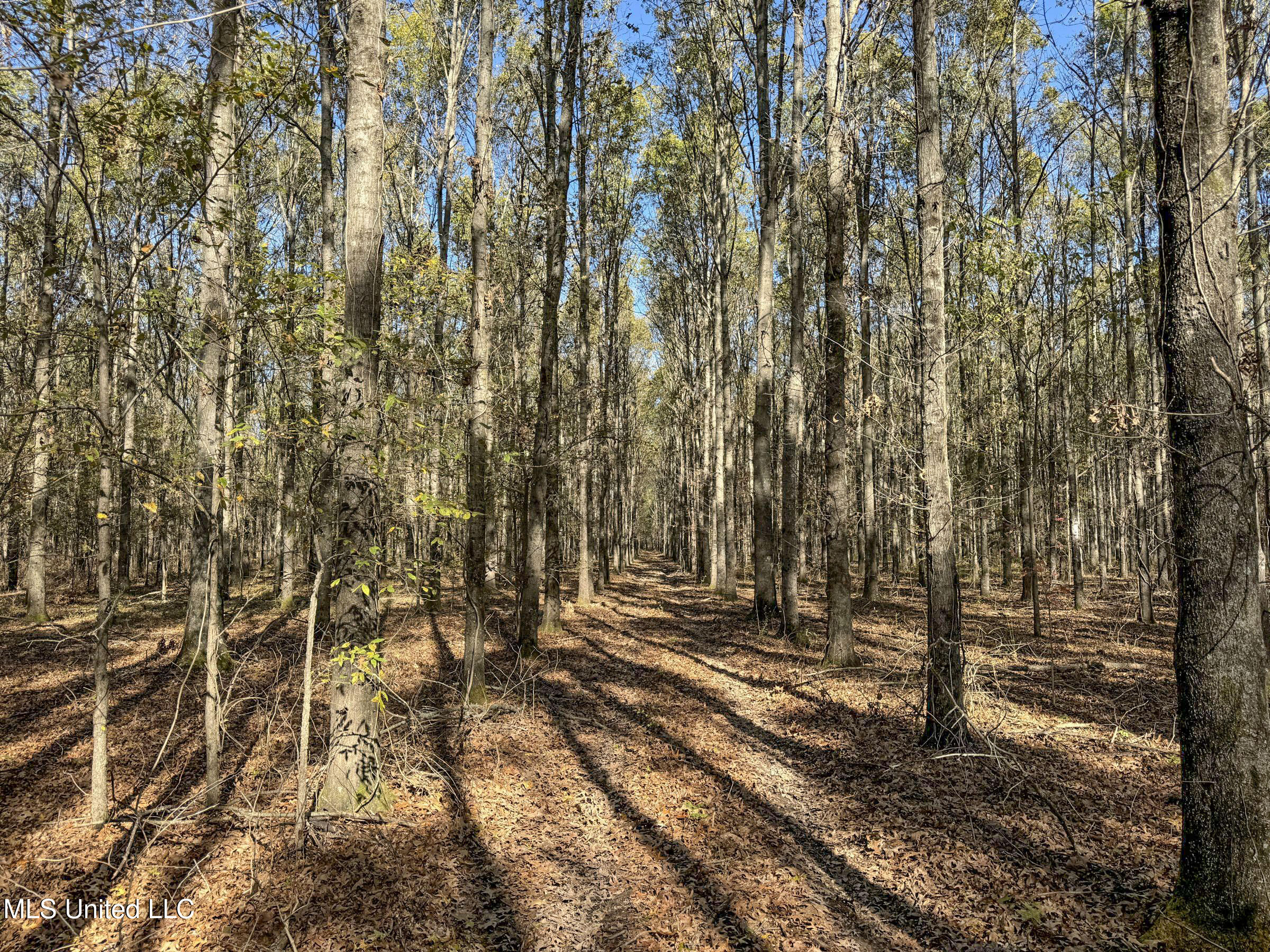1111 Seven Road Batesville, MS 38606 - Photo 58 of 105 3sulv9m