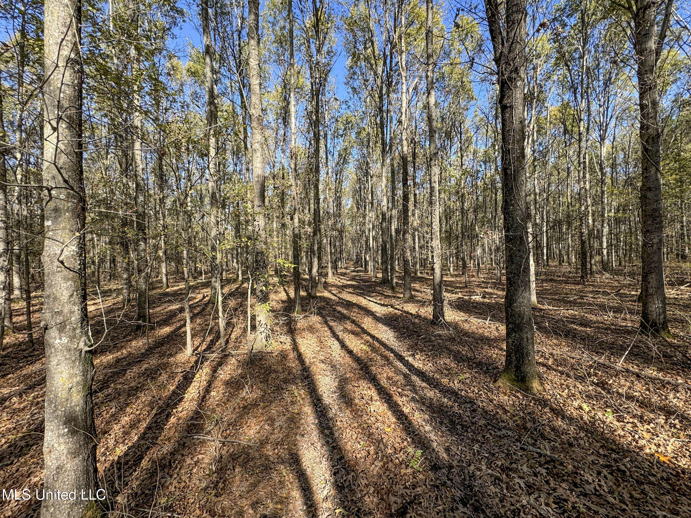 1111 Seven Road Batesville, MS 38606 - Photo 59 of 105 3sulv9n