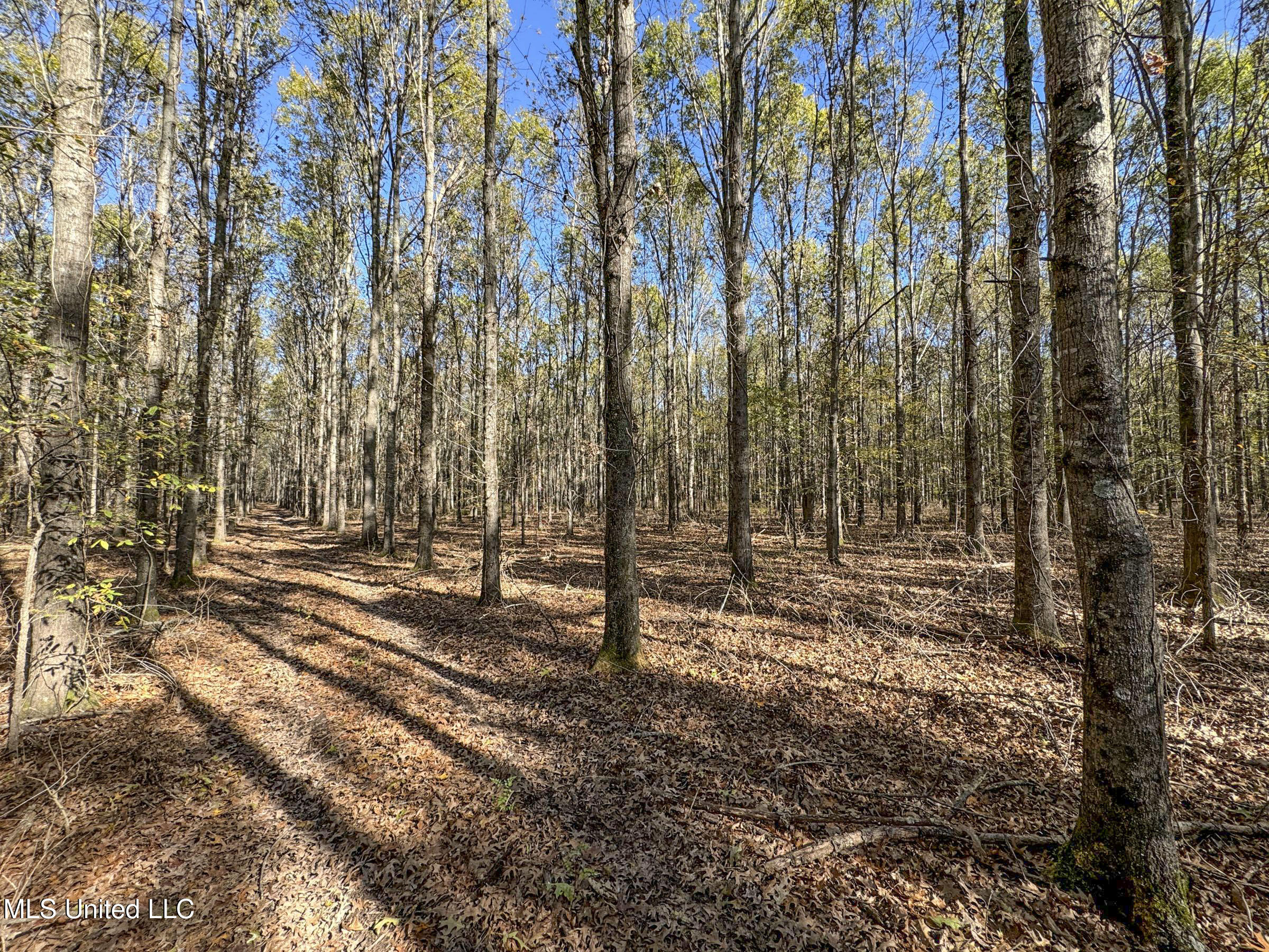 1111 Seven Road Batesville, MS 38606 - Photo 60 of 105 3sulv9p