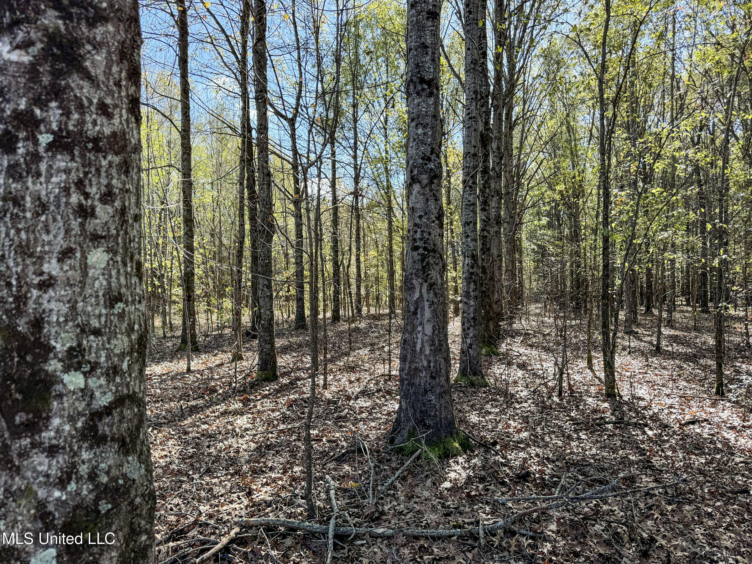 1111 Seven Road Batesville, MS 38606 - Photo 72 of 105 3sulv35