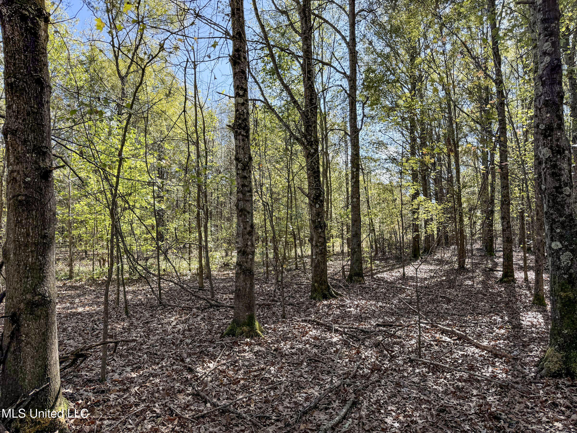 1111 Seven Road Batesville, MS 38606 - Photo 73 of 105 3sulv36