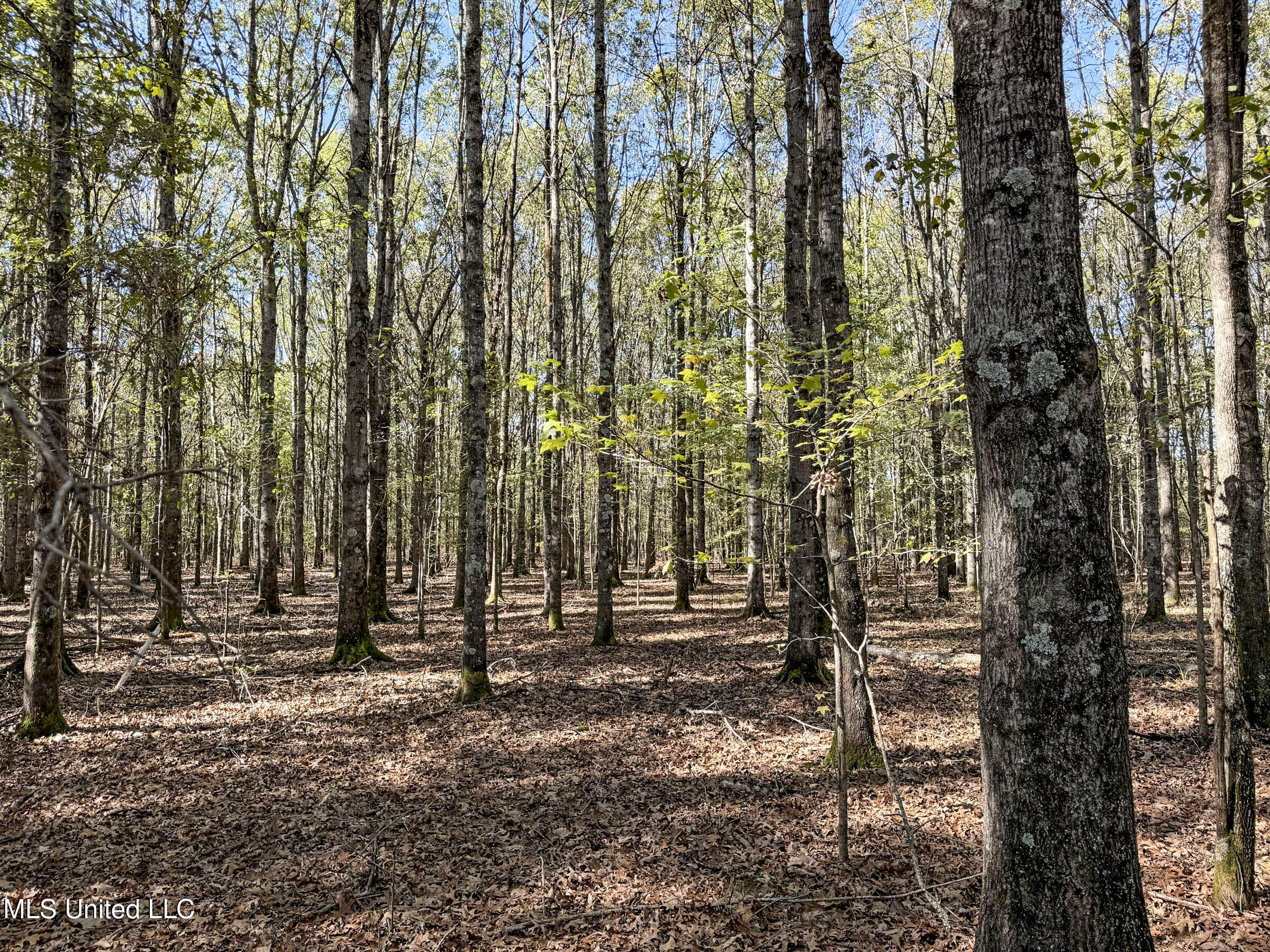 1111 Seven Road Batesville, MS 38606 - Photo 74 of 105 3sulv38