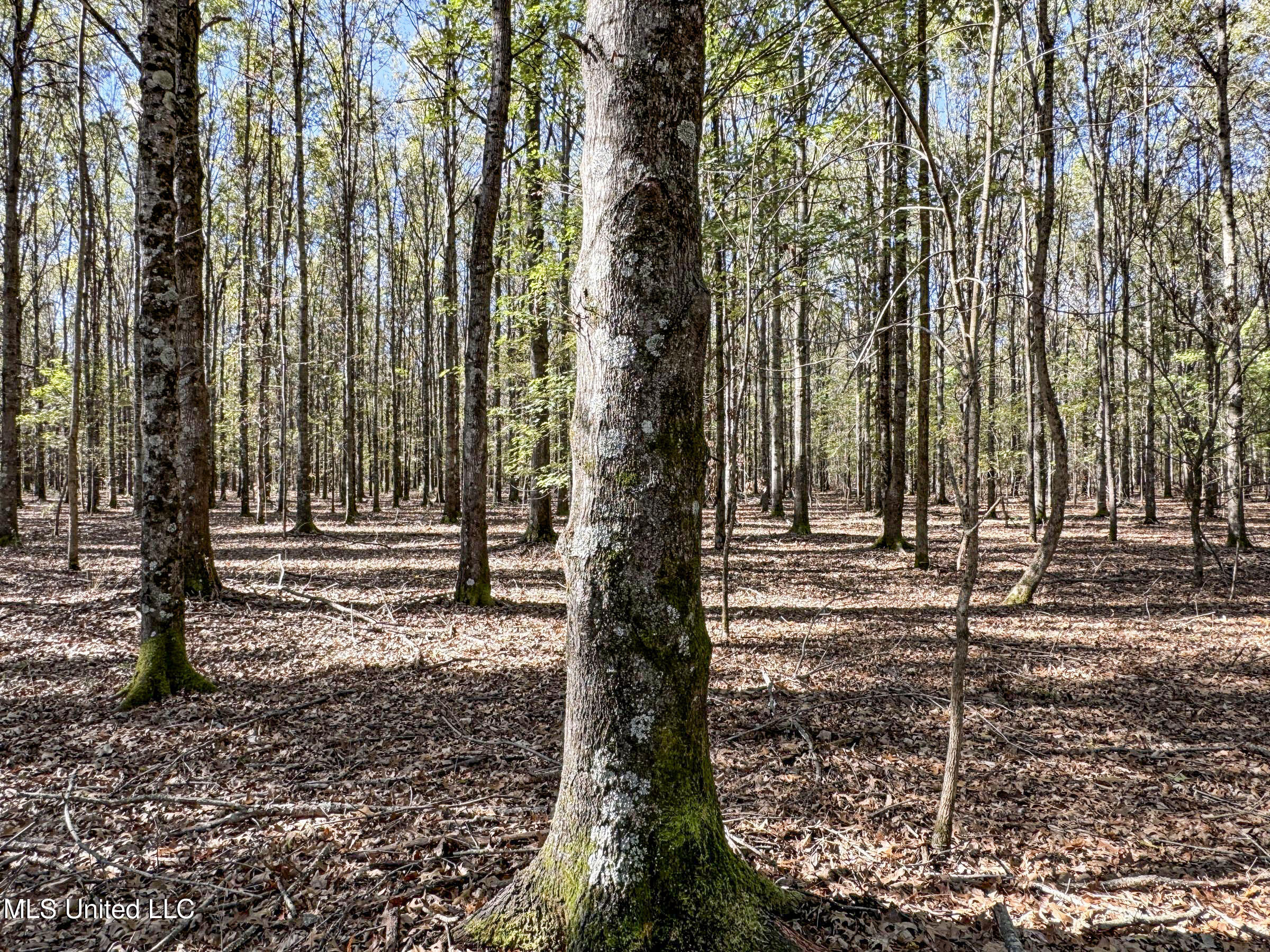 1111 Seven Road Batesville, MS 38606 - Photo 75 of 105 3sulv40