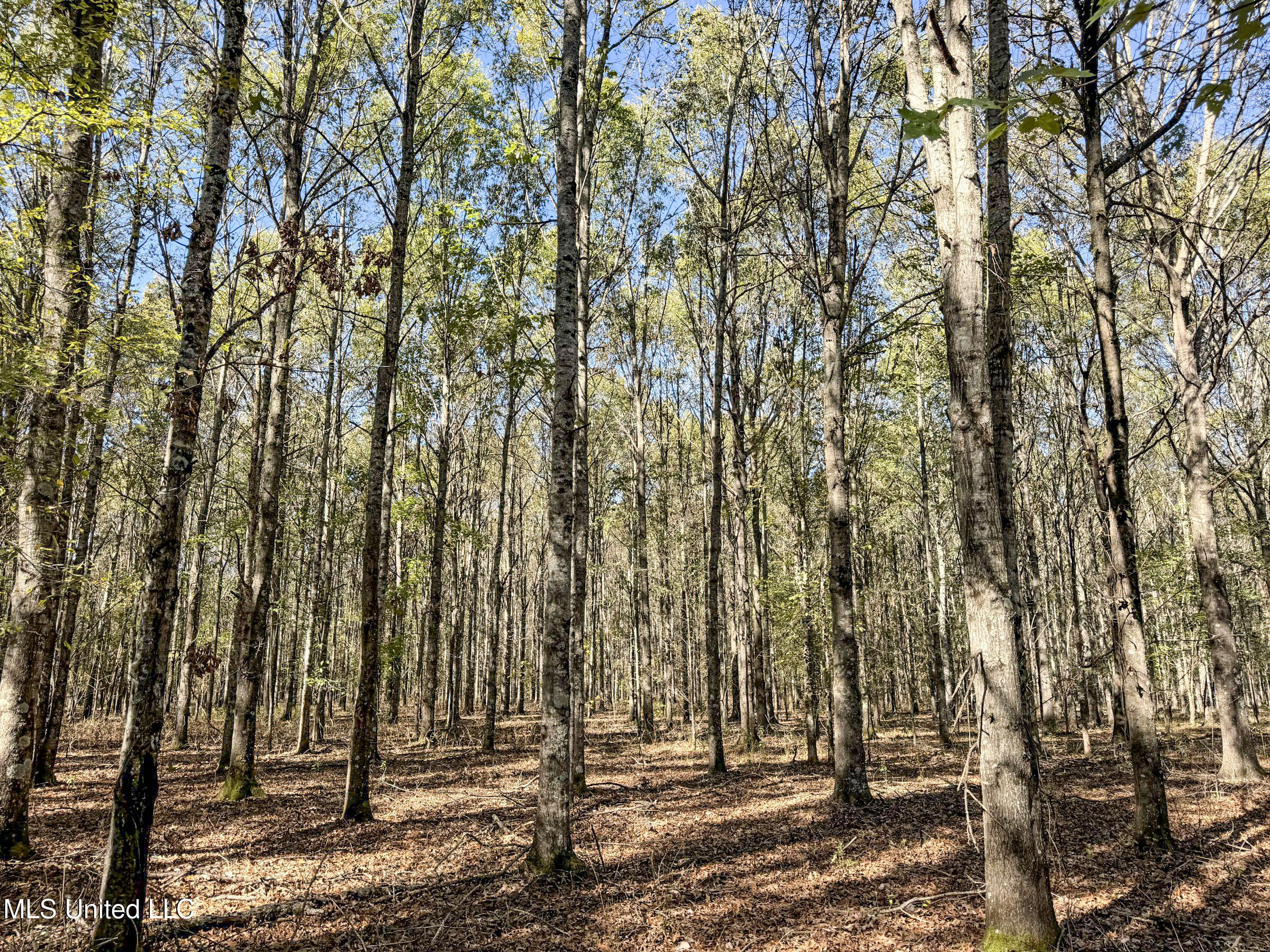 1111 Seven Road Batesville, MS 38606 - Photo 77 of 105 3sulv43
