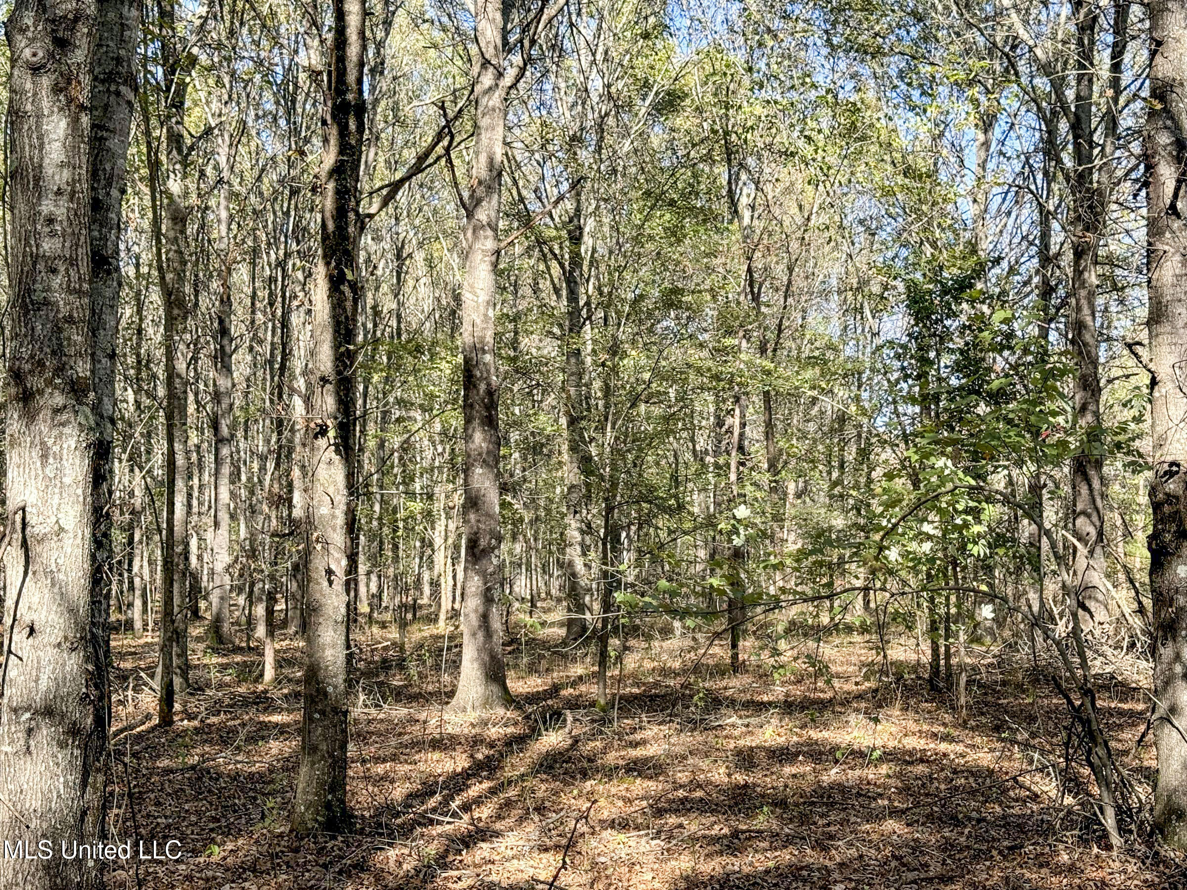 1111 Seven Road Batesville, MS 38606 - Photo 78 of 105 3sulv44