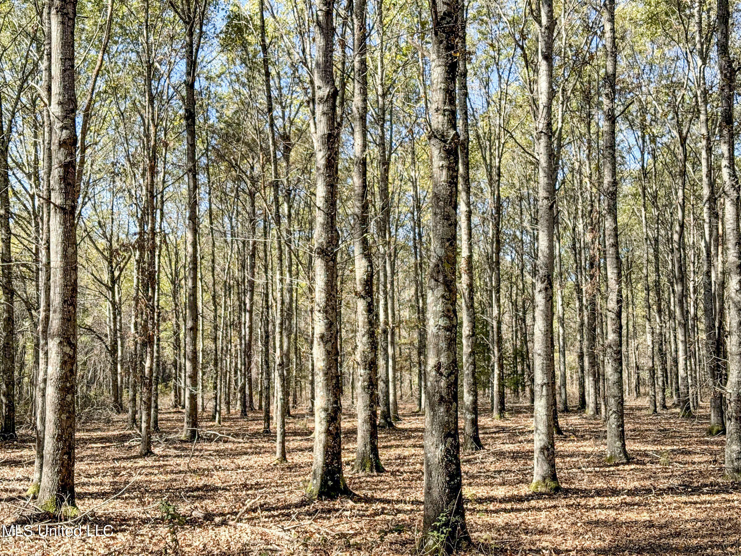 1111 Seven Road Batesville, MS 38606 - Photo 83 of 105 3sulv49
